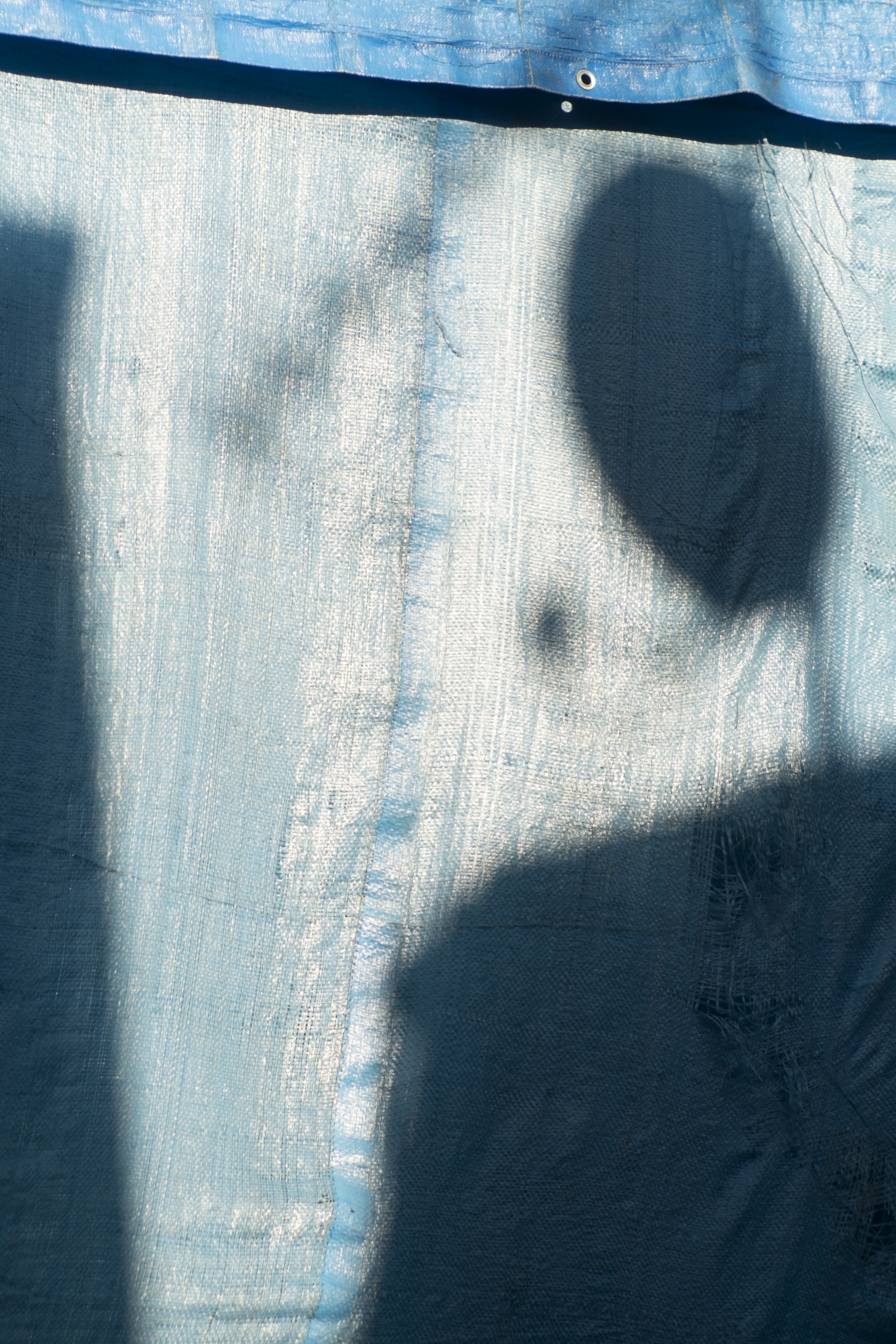 X-Pro1 / Jupiter-9 85mm F2 / 4,896×3,264 / 1/2,900秒 / F2.8 / 0EV / ISO200 / WB:オート / 85mm