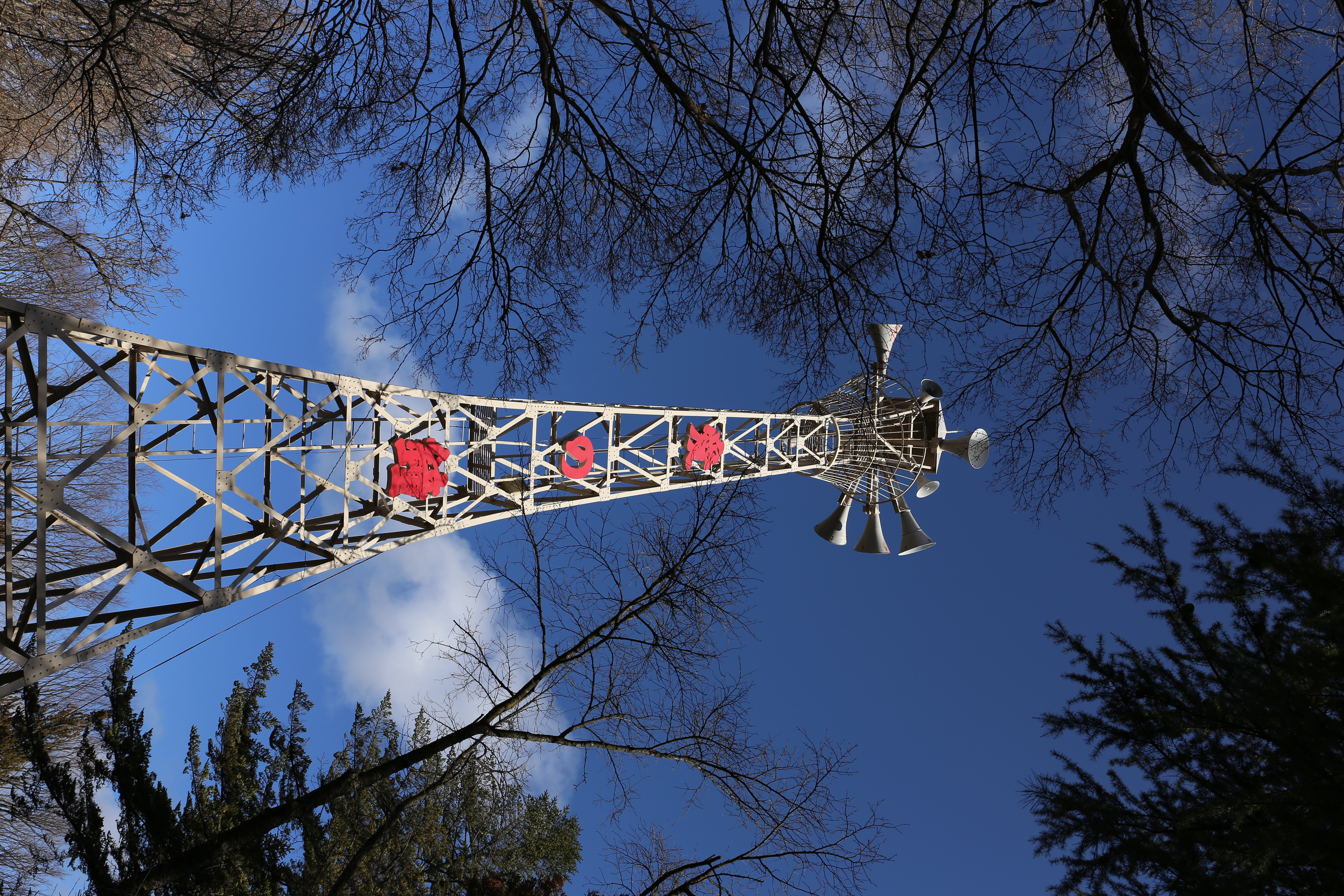 EOS 6D / EF 24-70mm F4 L IS USM / 約10.7MB / 5,472×3,648 / 1/320秒 / F8 / +0.3EV / ISO100 / 28mm