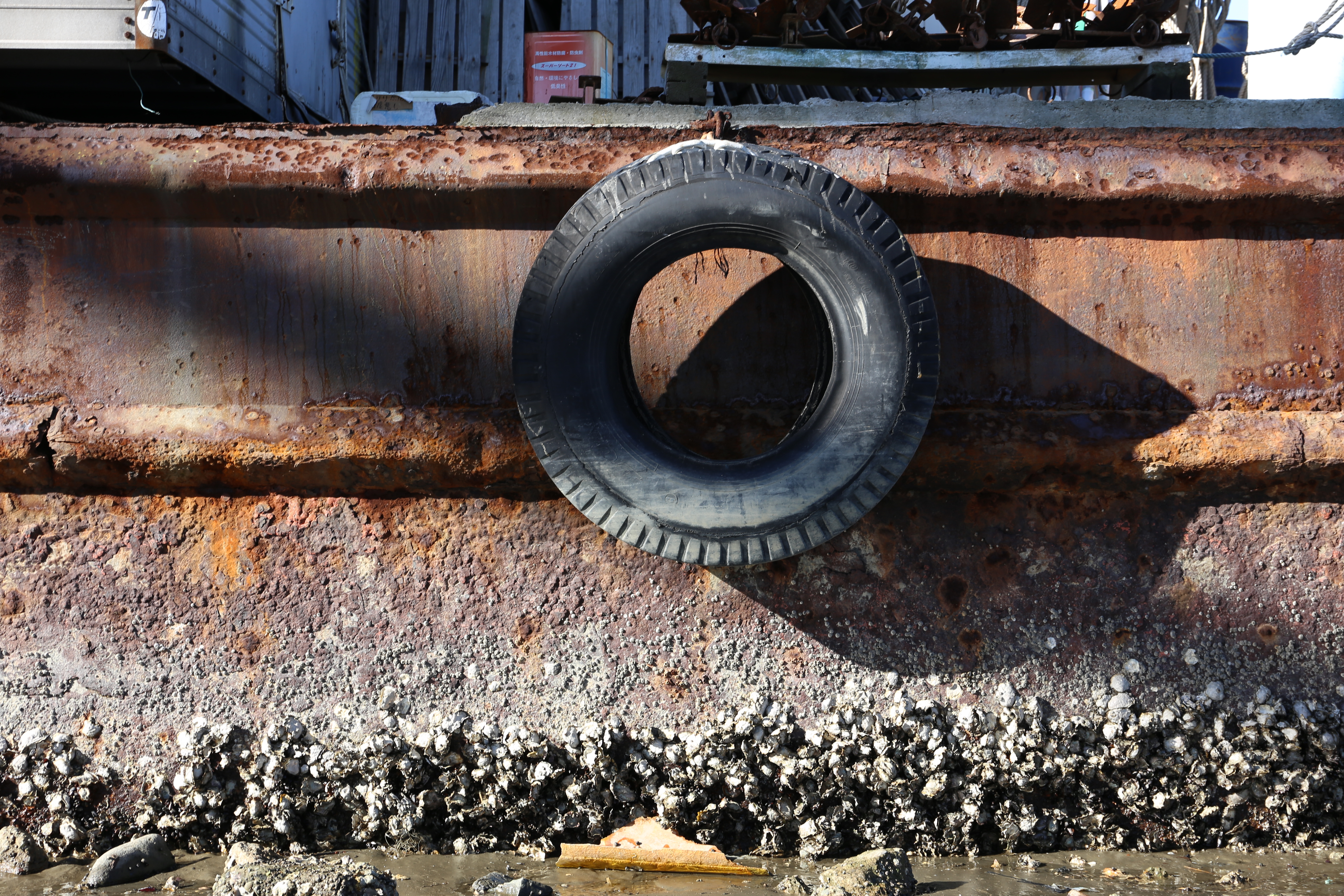 EOS 6D / EF 24-70mm F4 L IS USM / 約9.6MB / 5,472×3,648 / 1/60秒 / F8 / -0.7EV / ISO100 / 57mm