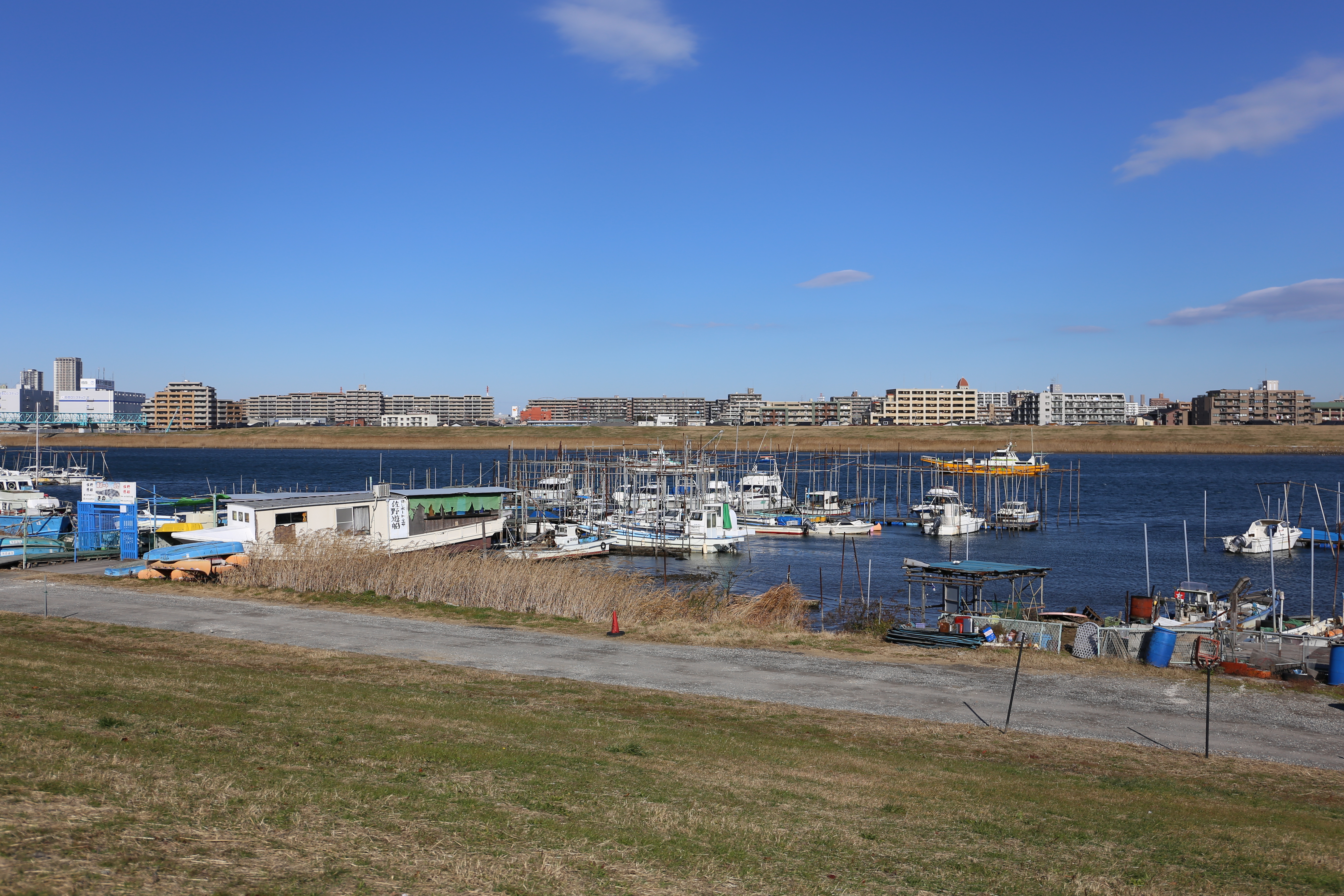 EOS 6D / EF 24-70mm F4 L IS USM / 約8.1MB / 5,472×3,648 / 1/2,000秒 / F4 / +0.3EV / ISO100 / 35mm