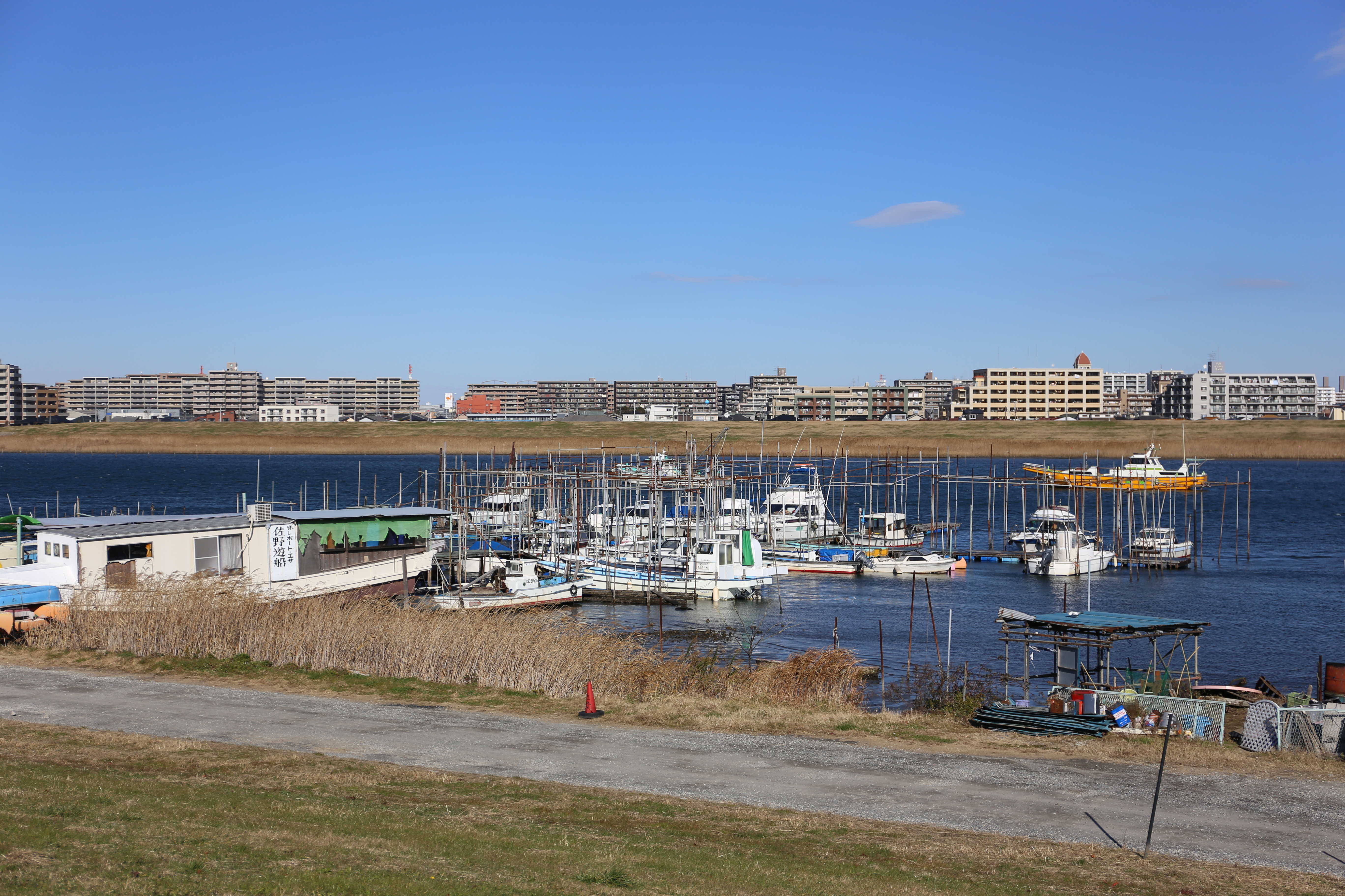 EOS 6D / EF 24-70mm F4 L IS USM / 約7.8MB / 5,472×3,648 / 1/2,000秒 / F4 / +0.3EV / ISO100 / 50mm