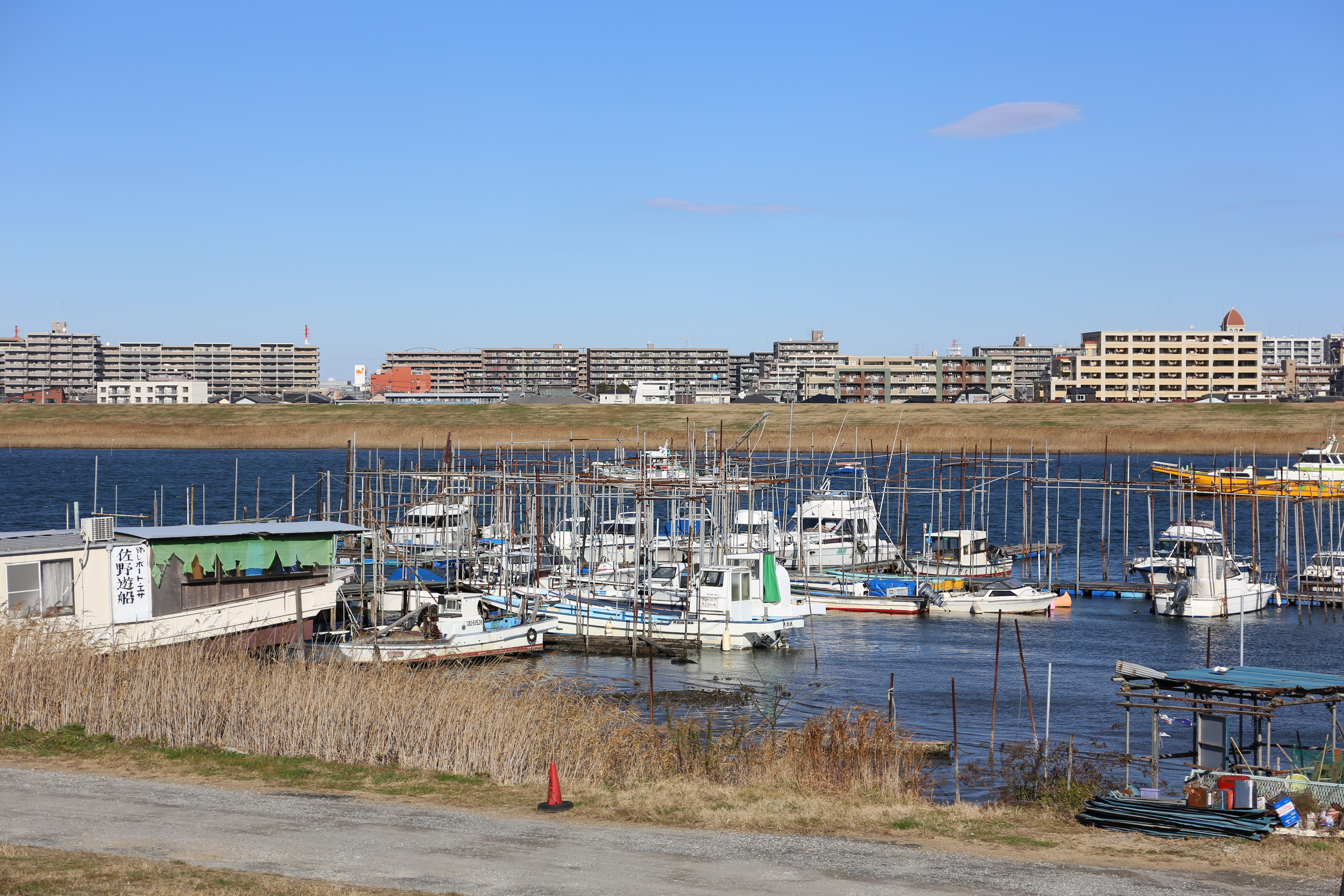 EOS 6D / EF 24-70mm F4 L IS USM / 約8.7MB / 5,472×3,648 / 1/1,600秒 / F4 / +0.3EV / ISO100 / 70mm