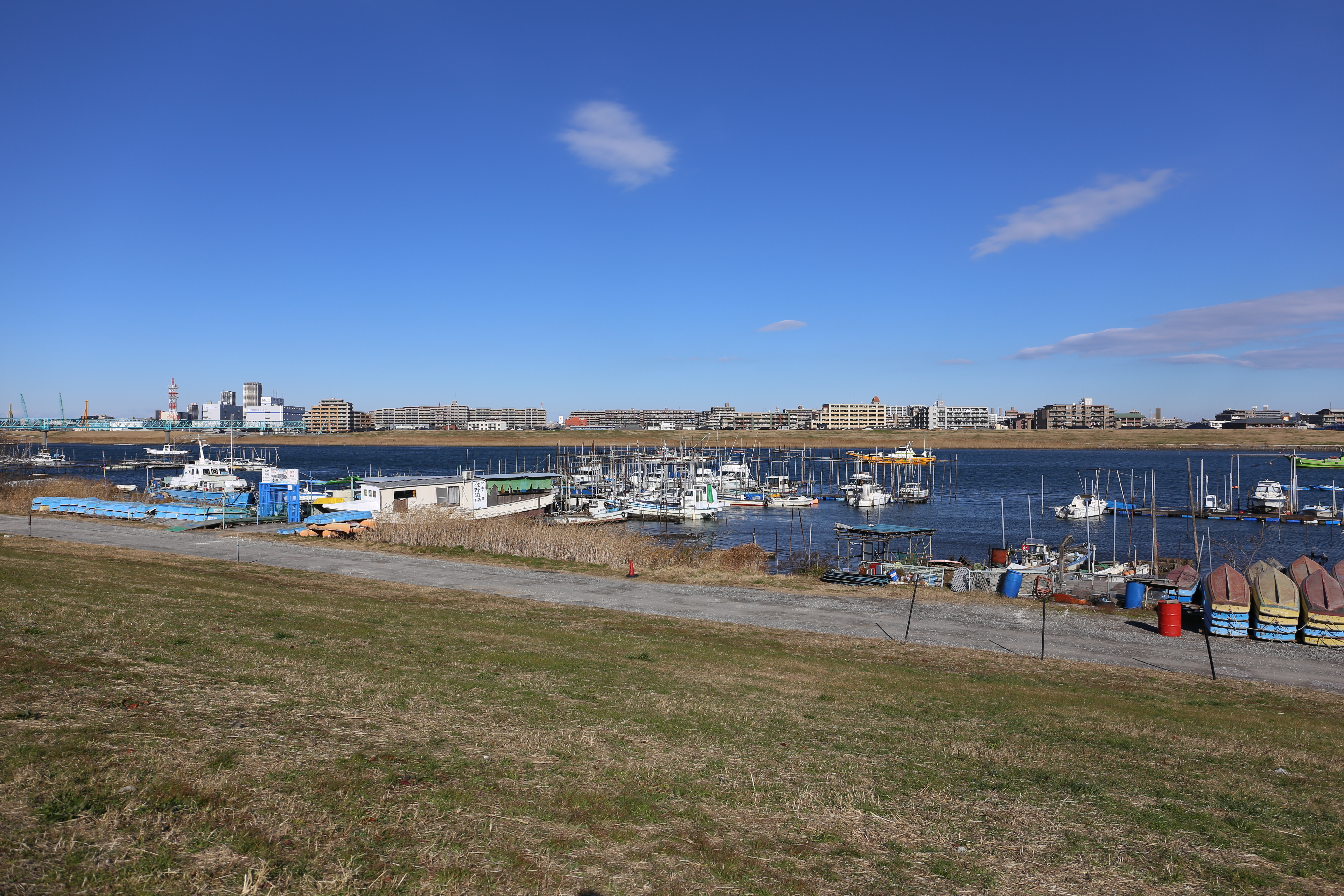 EOS 6D / EF 24-70mm F4 L IS USM / 約8.6MB / 5,472×3,648 / 1/1,000秒 / F5.6 / +0.3EV / ISO100 / 24mm