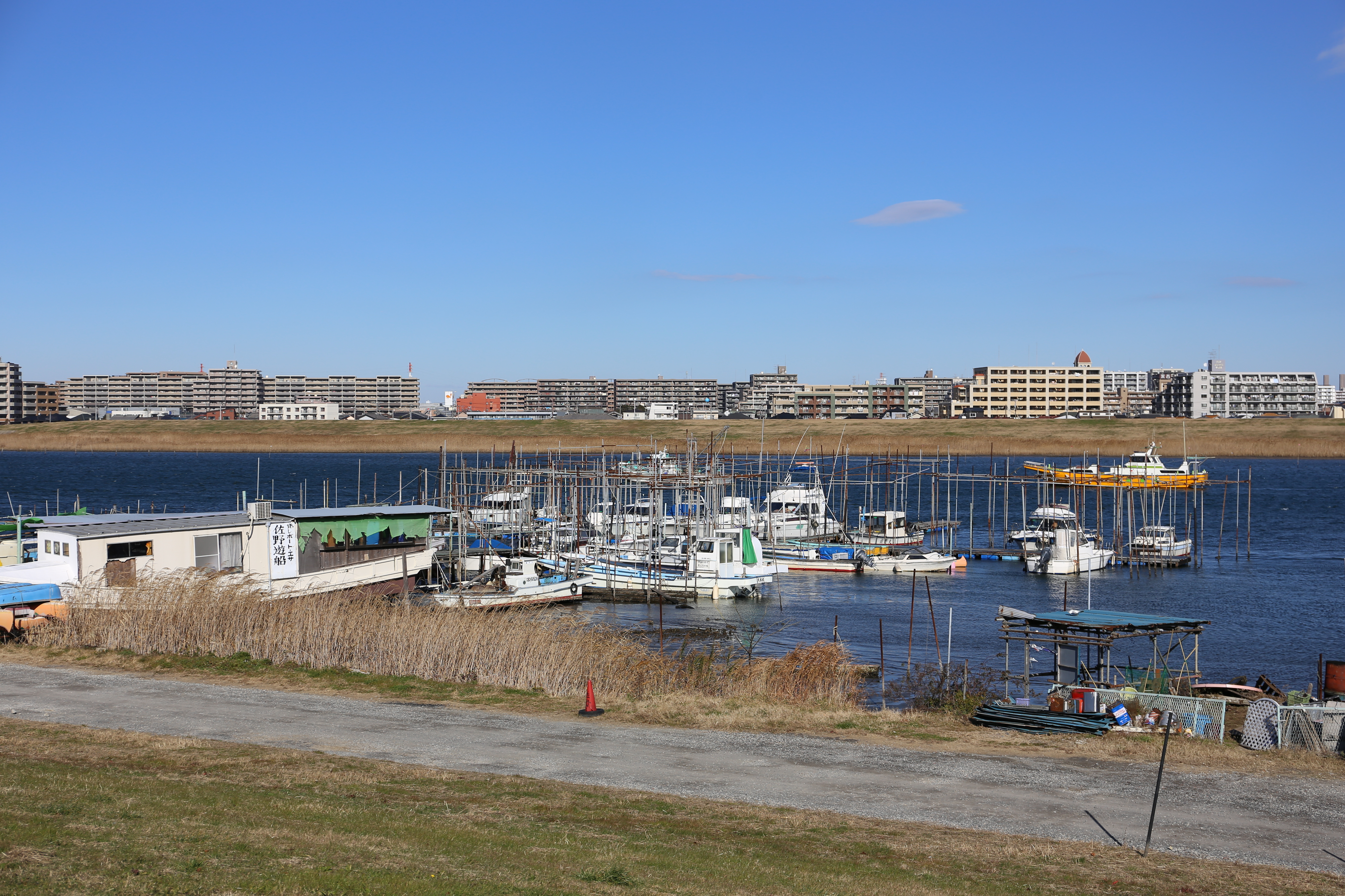 EOS 6D / EF 24-70mm F4 L IS USM / 約8.5MB / 5,472×3,648 / 1/1,000秒 / F5.6 / +0.3EV / ISO100 / 50mm