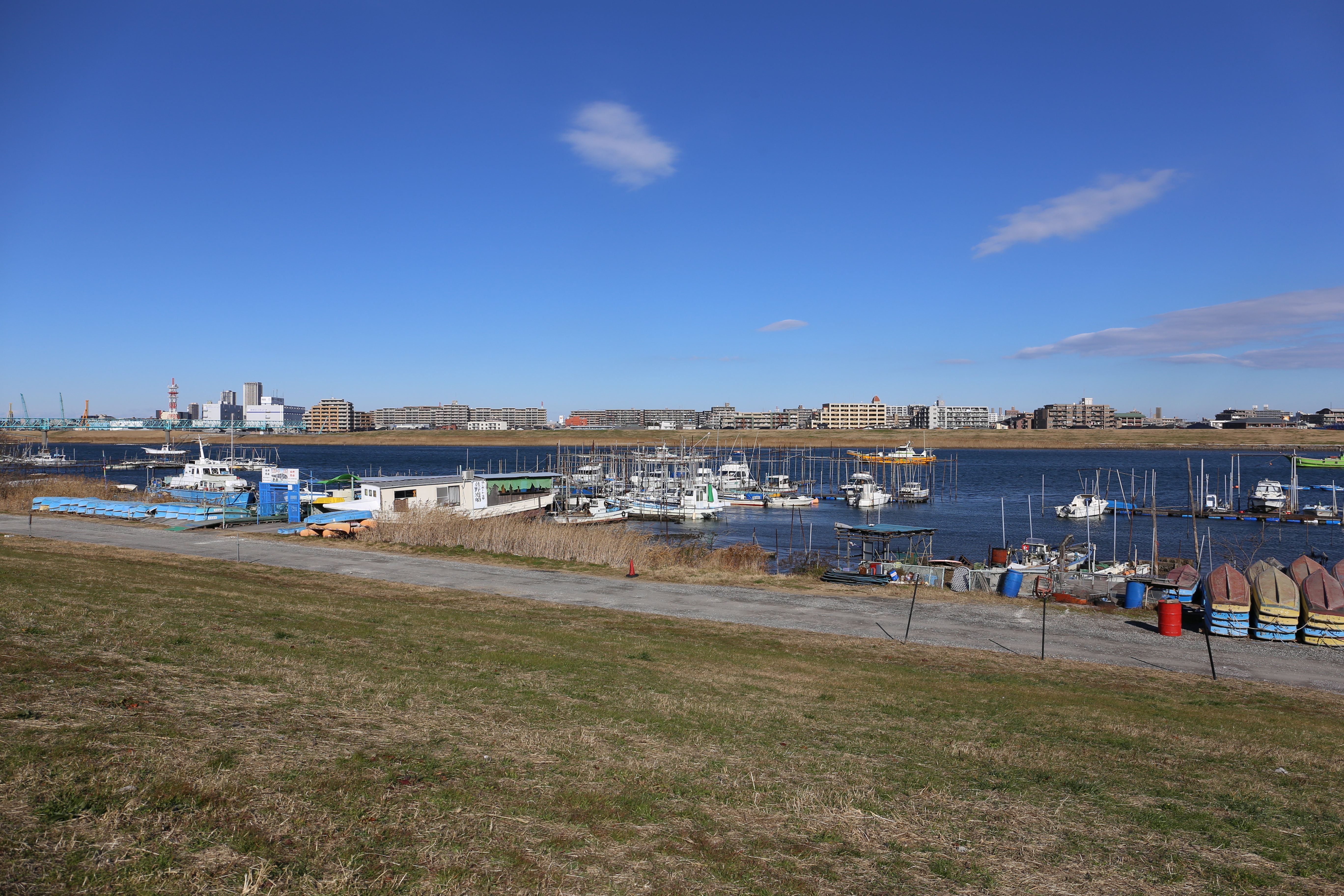 EOS 6D / EF 24-70mm F4 L IS USM / 約8.6MB / 5,472×3,648 / 1/500秒 / F8 / +0.3EV / ISO100 / 24mm