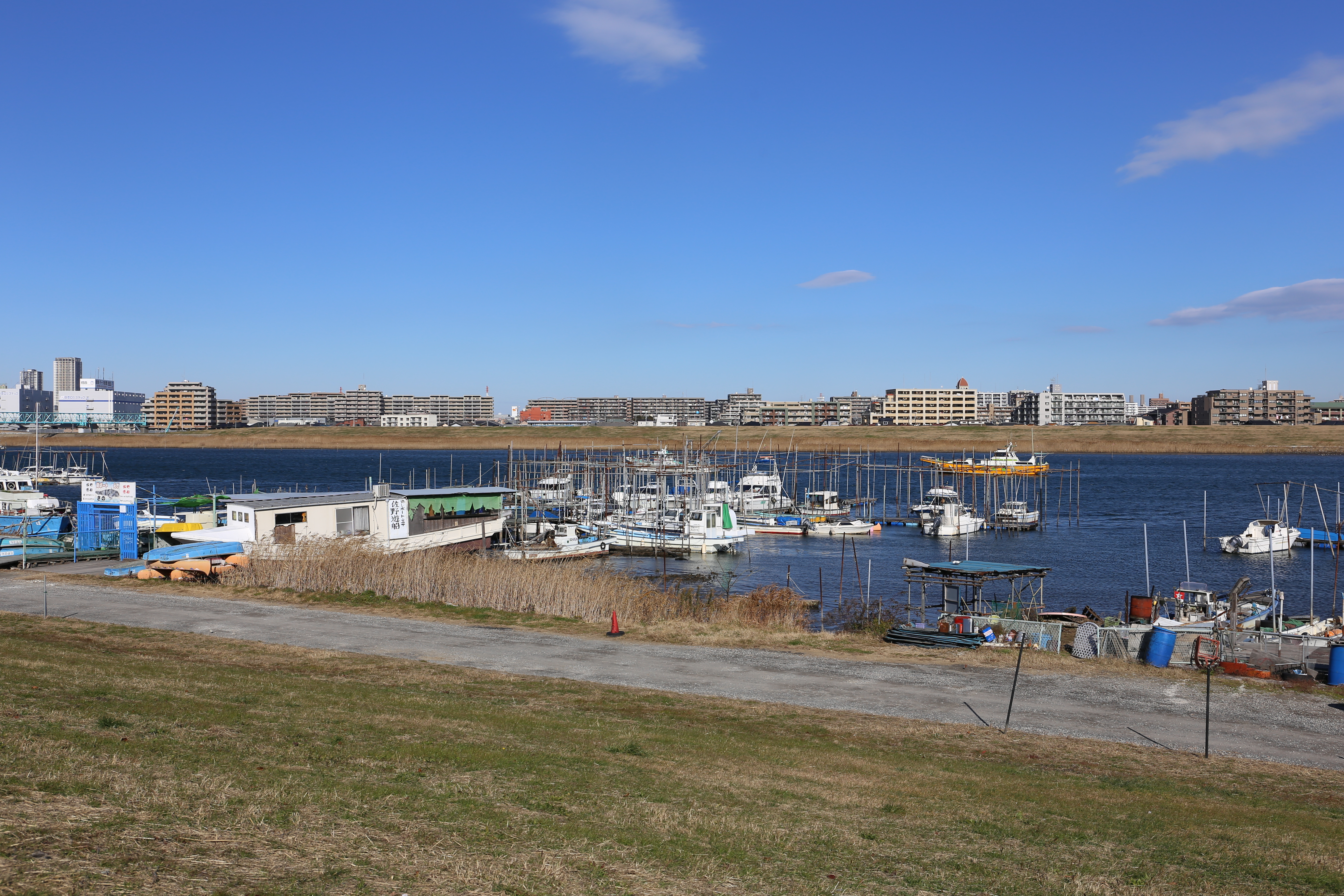 EOS 6D / EF 24-70mm F4 L IS USM / 約8.7MB / 5,472×3,648 / 1/500秒 / F8 / +0.3EV / ISO100 / 35mm