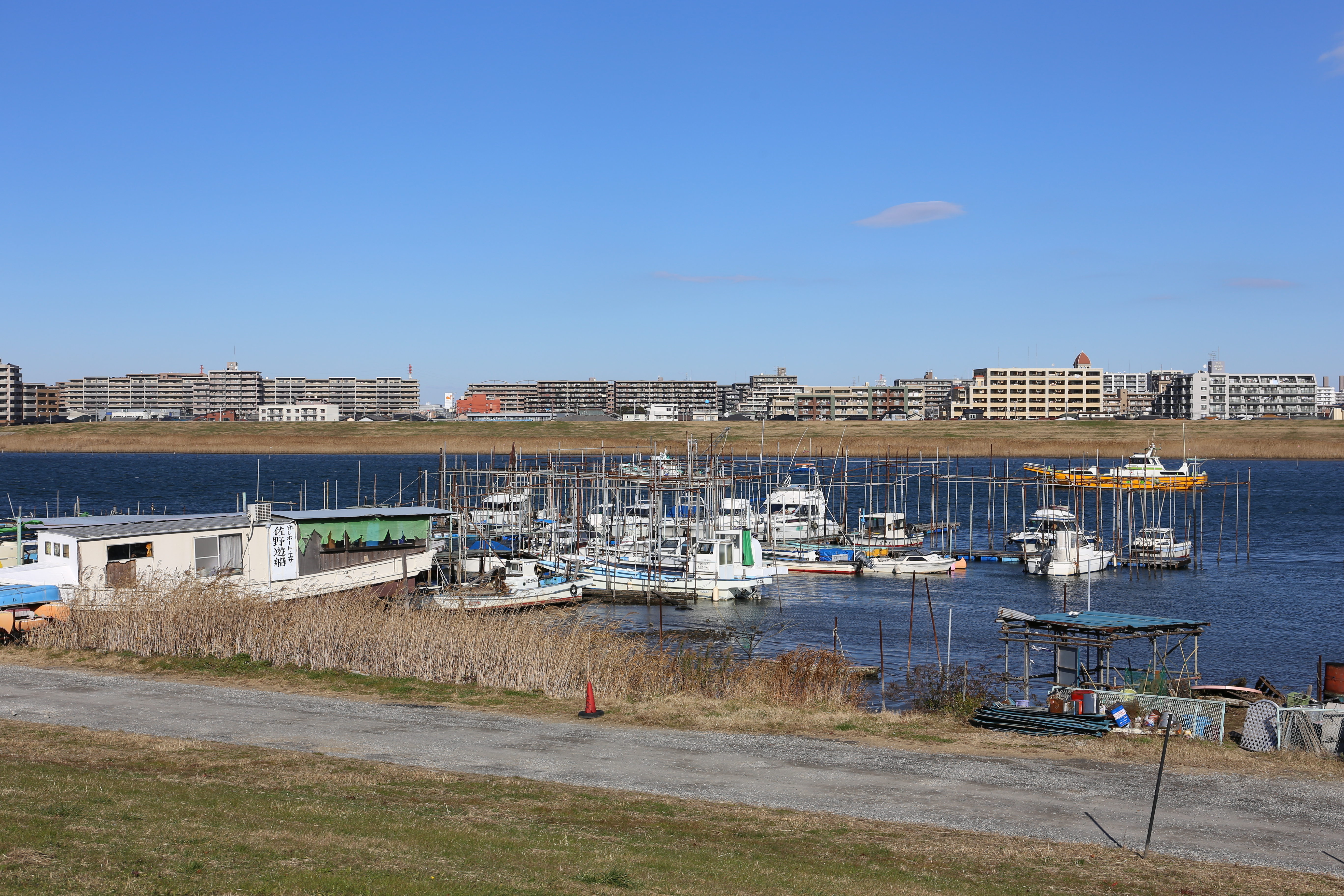 EOS 6D / EF 24-70mm F4 L IS USM / 約8.8MB / 5,472×3,648 / 1/500秒 / F8 / +0.3EV / ISO100 / 50mm