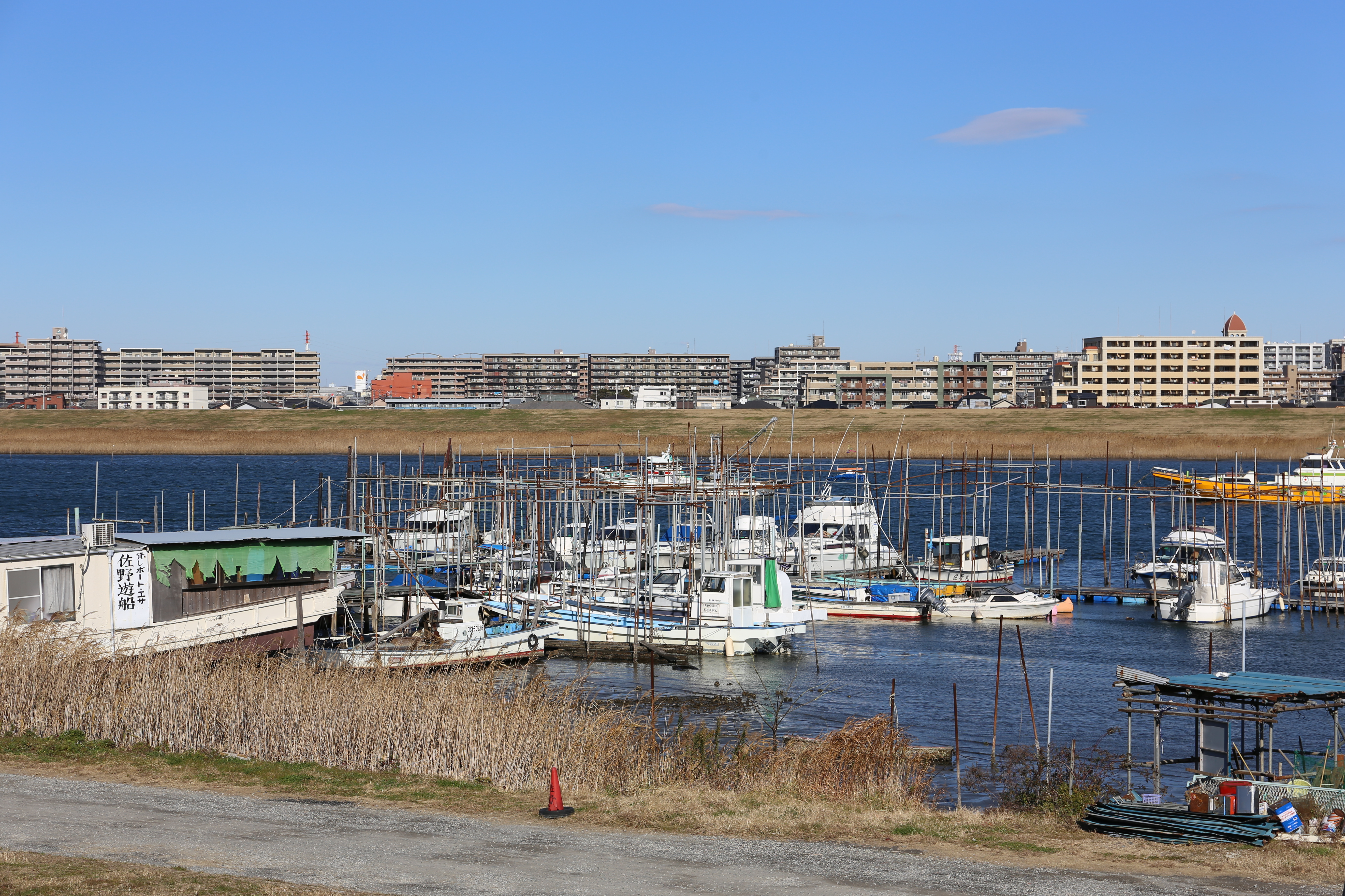 EOS 6D / EF 24-70mm F4 L IS USM / 約8.9MB / 5,472×3,648 / 1/500秒 / F8 / +0.3EV / ISO100 / 70mm