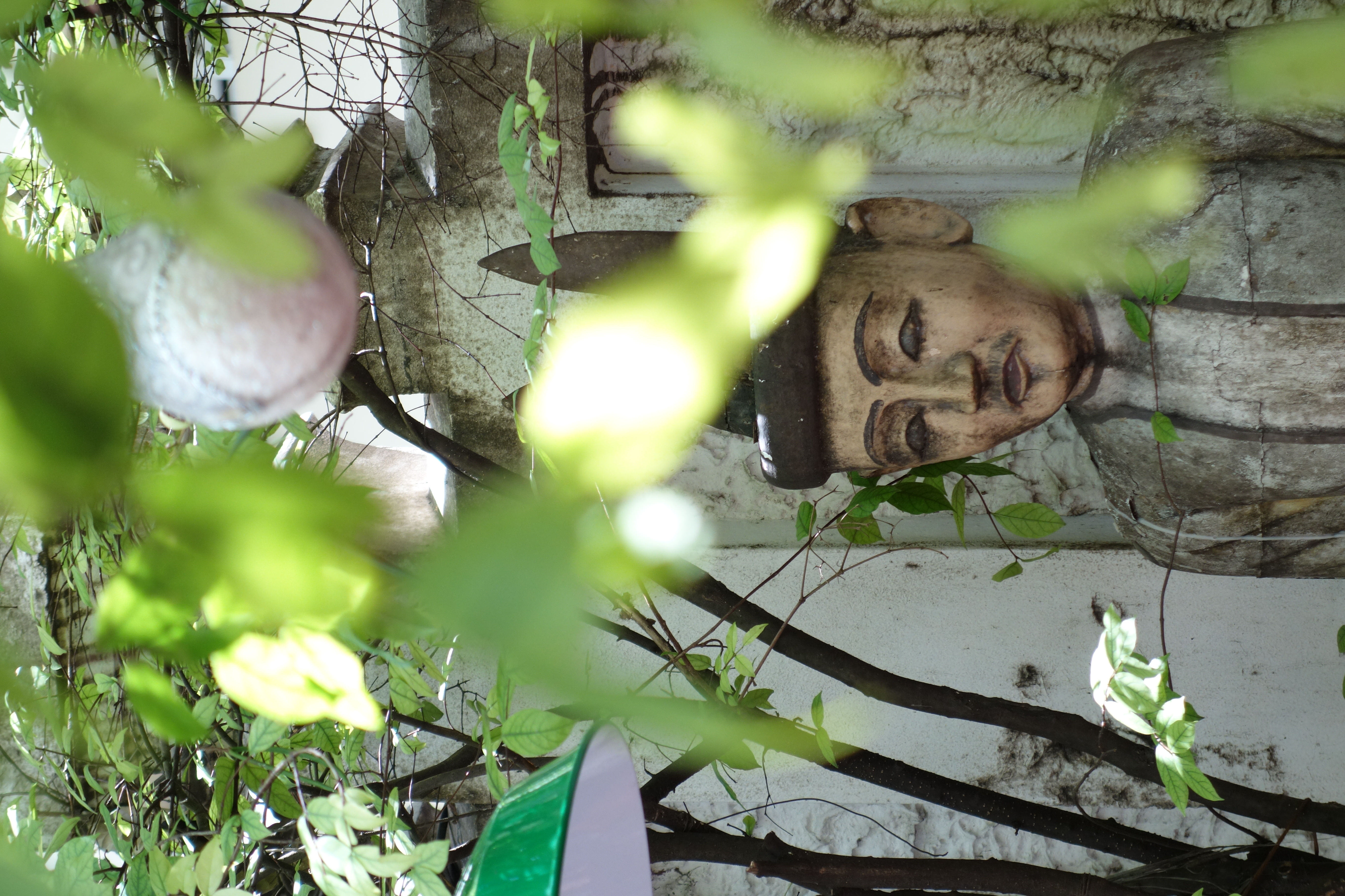 DSC-RX100 / 6.1MB / 3,648×5,472 / 1/100秒 / F4.9 / 0.0EV / ISO320 / WB:オート / 37.1mm