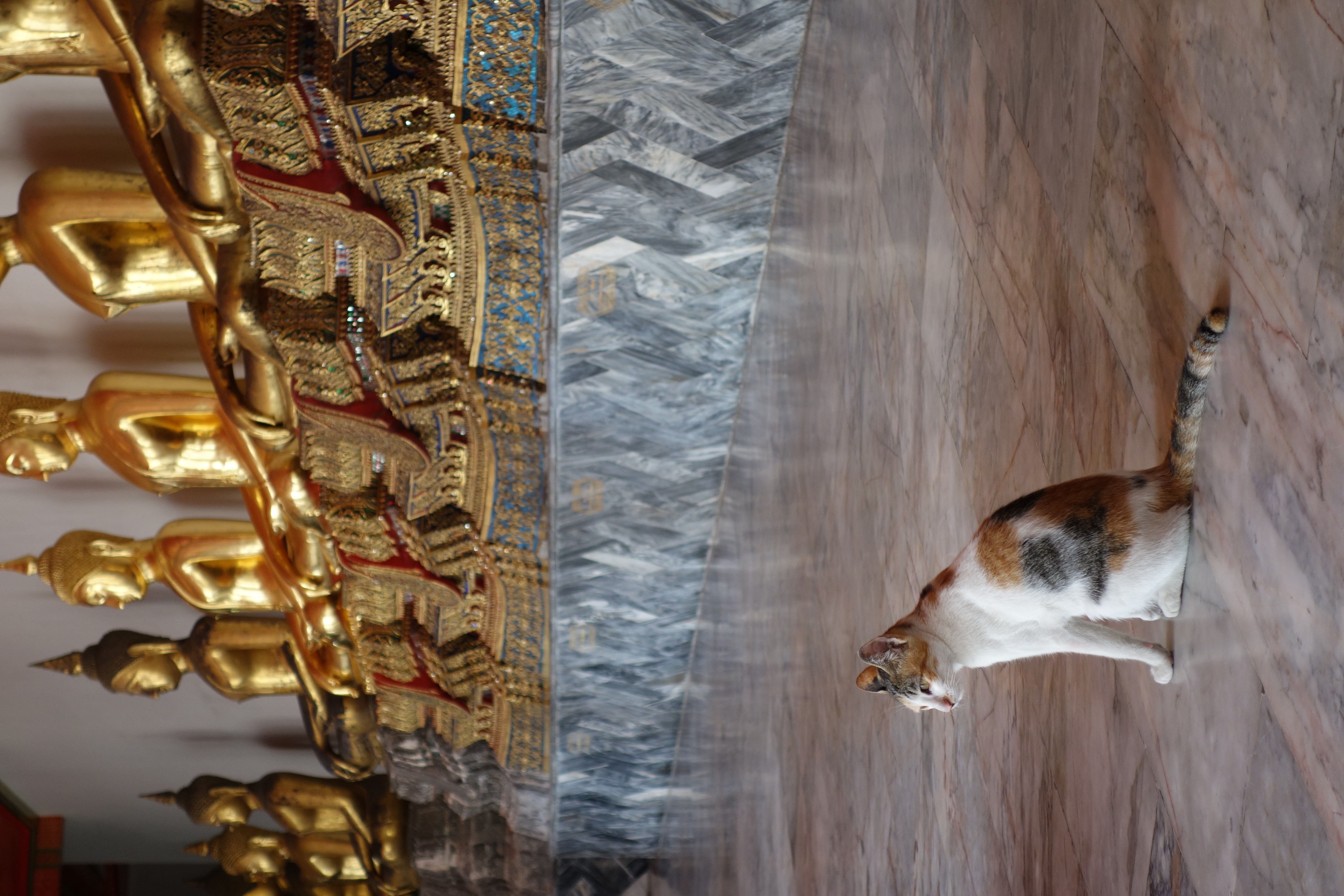 DSC-RX100 / 3.8MB / 3,648×5,472 / 1/100秒 / F4.5 / 0.0EV / ISO250 / WB:オート / 29.5mm