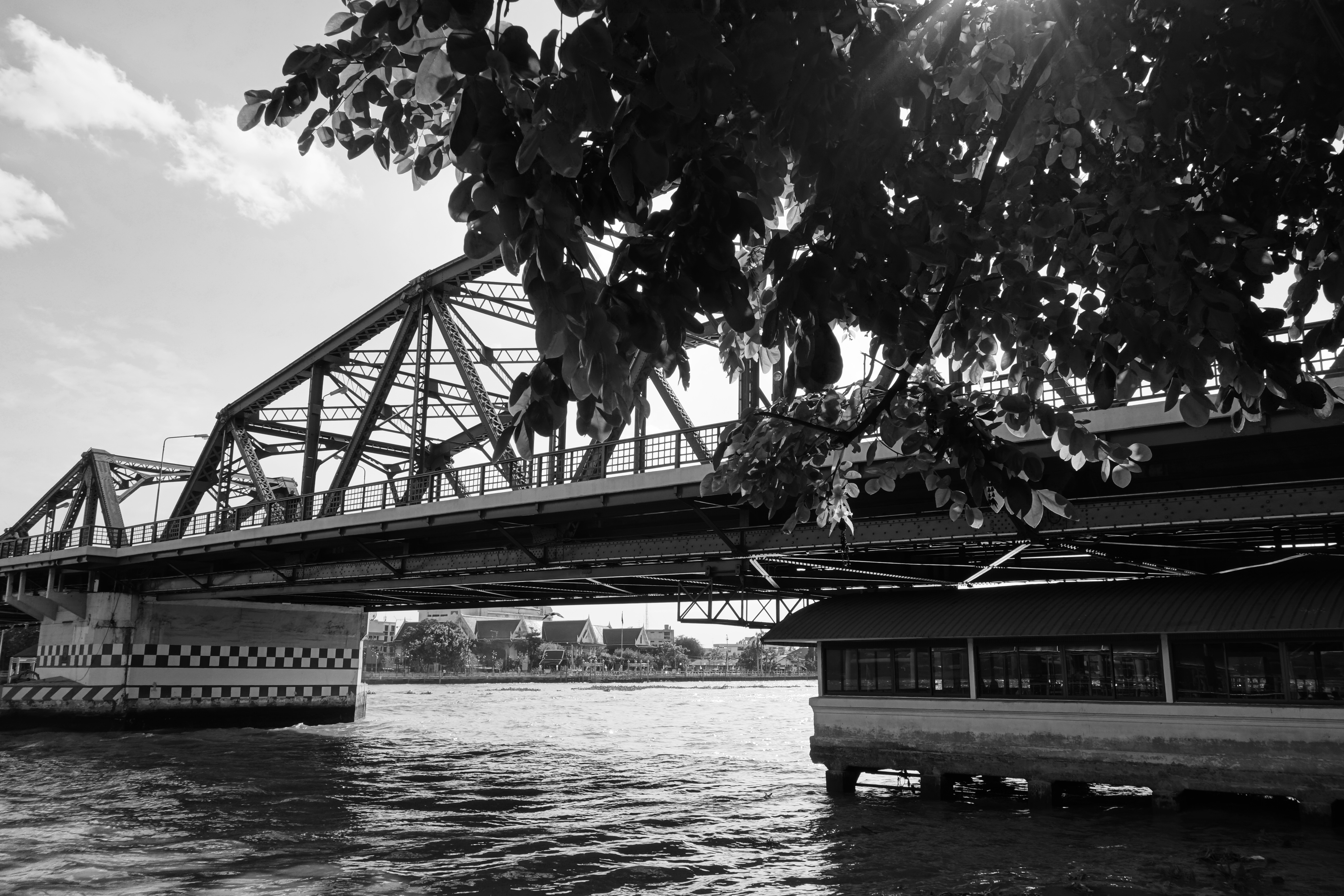 DSC-RX100 / 3.8MB / 5,472×3,648 / 1/320秒 / F5.6 / 0.0EV / ISO125 / WB:オート / 10.4mm / ピクチャーエフェクト:リッチトーンモノクロ