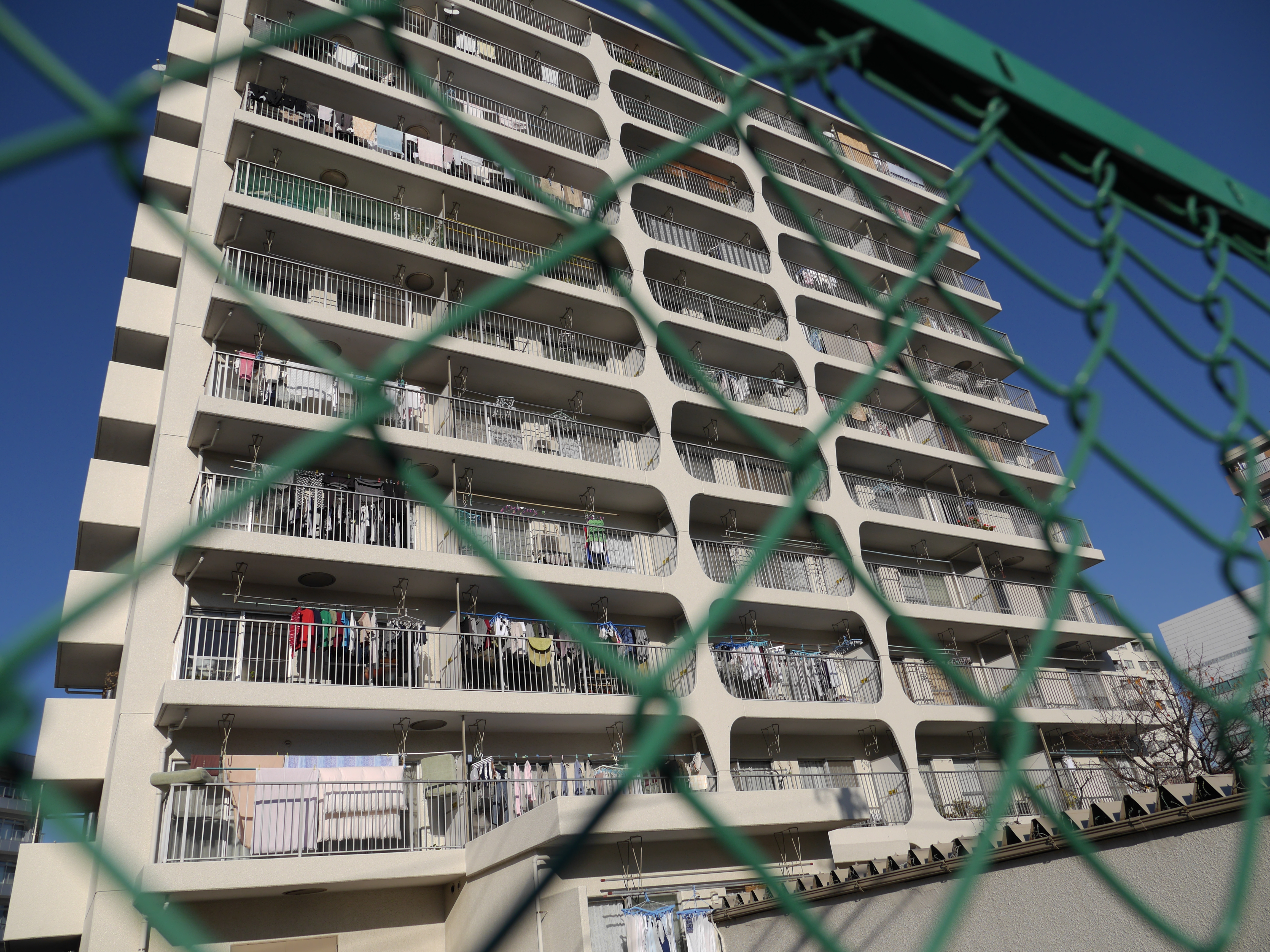 DMC-GH3 / LUMIX G X VARIO 12-35mm F2.8 ASPH./POEWR O.I.S. / 約7MB / 4,608×3,456 / 1/2,000秒 / F4 / 0EV / ISO125 / 12mm