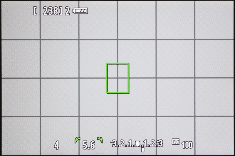 シャッターボタンを半押ししたところ。最小限の情報は表示してくれる。ある程度、操作に慣れた人ならこれで十分な気がする。