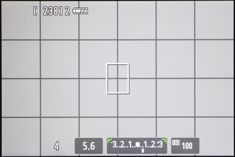 右キー（露出補正ボタン）を押したときの表示。この状態で電子ダイヤルを回せば露出補正となる。表示なしモードでも基本的な撮影操作には困らないのである。