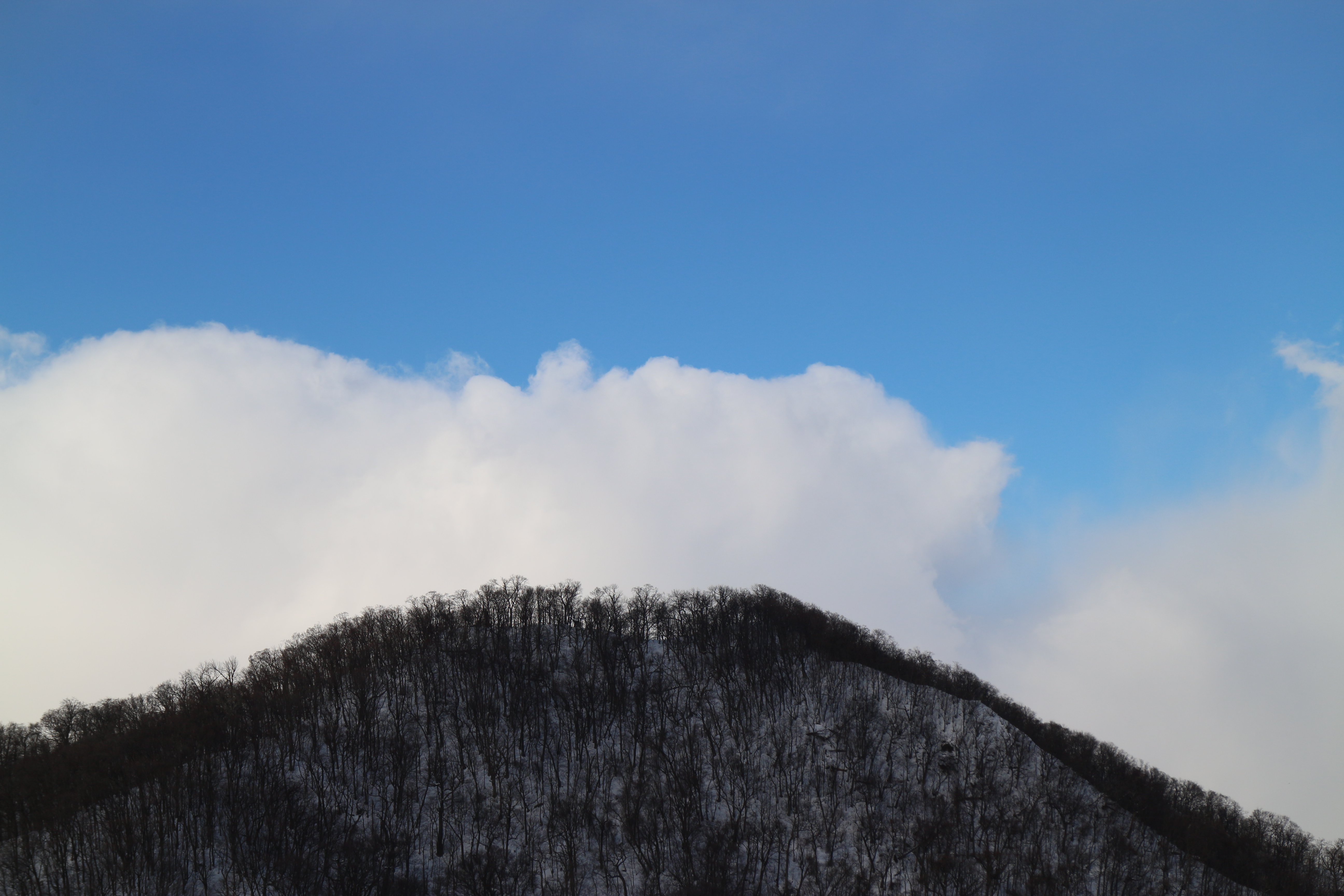ピクチャースタイルのオートは空がちょっと鮮やかになりすぎるのがあまり好きじゃないところ。スタンダードに変えたほうがいいかもしれない。EOS M / EF-M 18-55mm F3.5-5.6 IS STM / 5,184×3,456 / 1/640秒 / F8 / 0EV / ISO100 / WB：オート / 41mm（66mm相当）