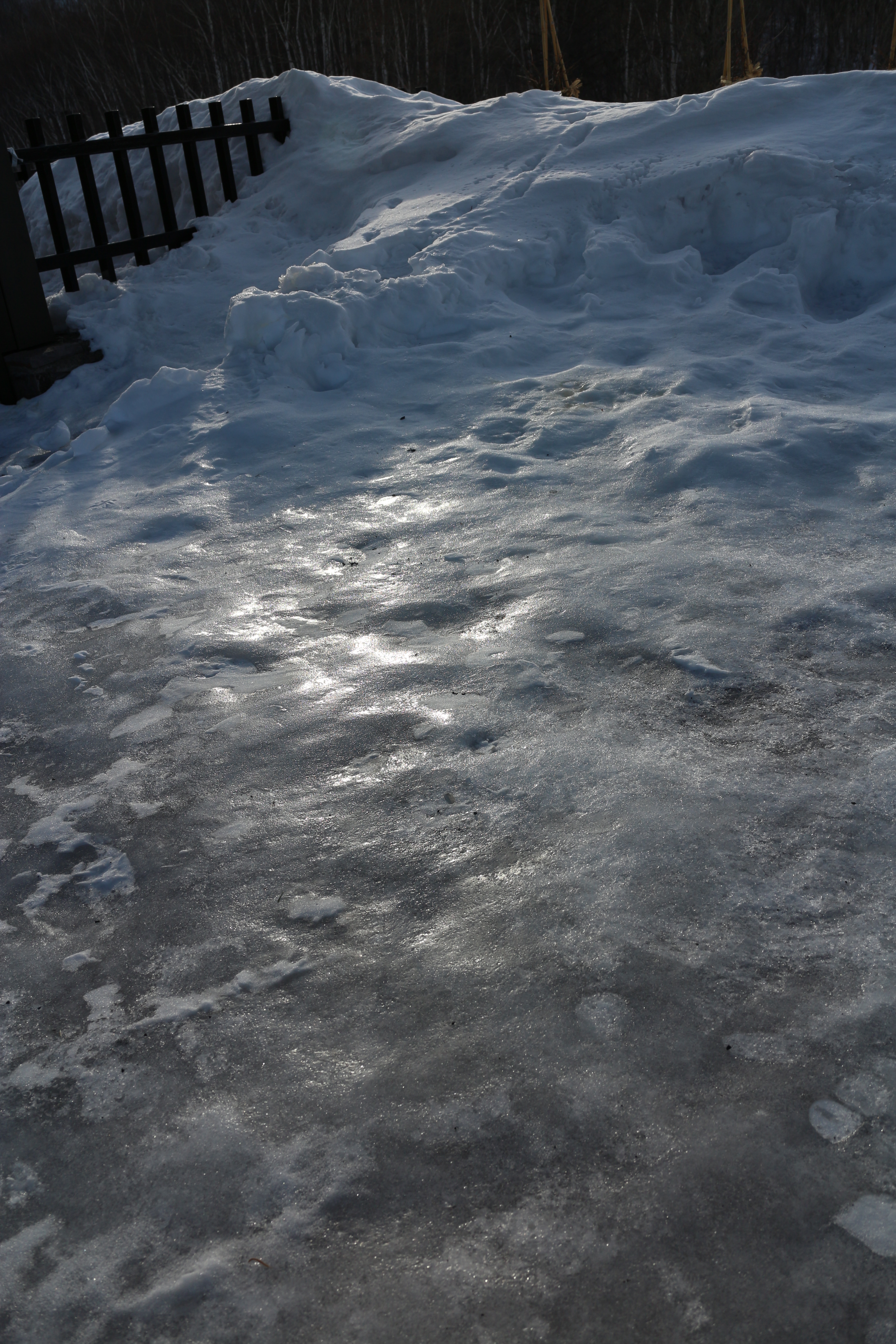 所々だけど、かちかちに凍り付いてつんつるてん状態になってる。こうなると絶望的に滑る。EOS M / EF-M 18-55mm F3.5-5.6 IS STM / 5,184×3,456 / 1/400秒 / F8 / 0EV / ISO100 / WB：オート / 18mm（29mm相当）