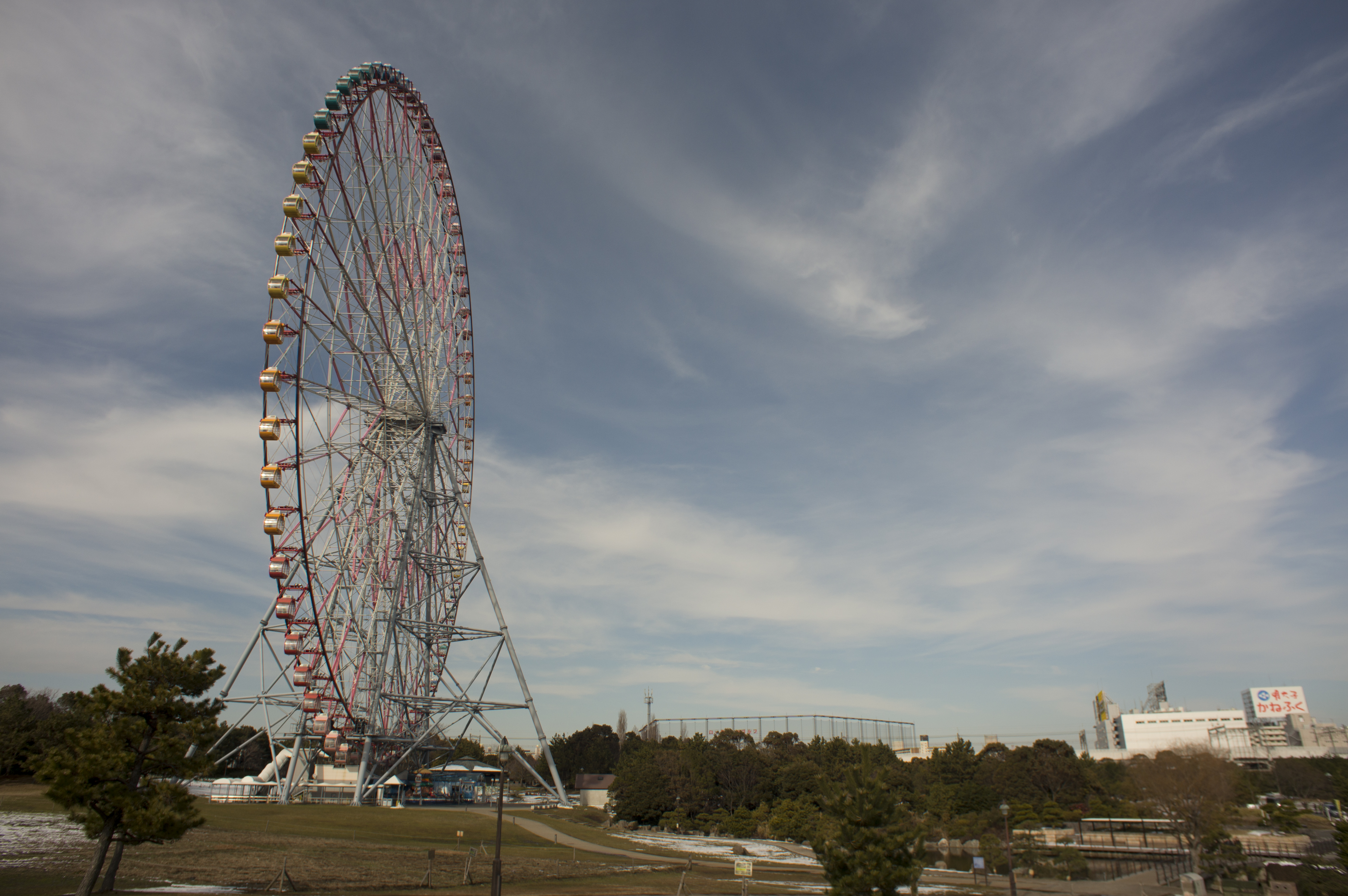 スピードブースターで撮影（NEX-6＋MC Flektogon 20mm F2.8＋Speed Booster EF-NEX＋Rayqual M42-EOS）