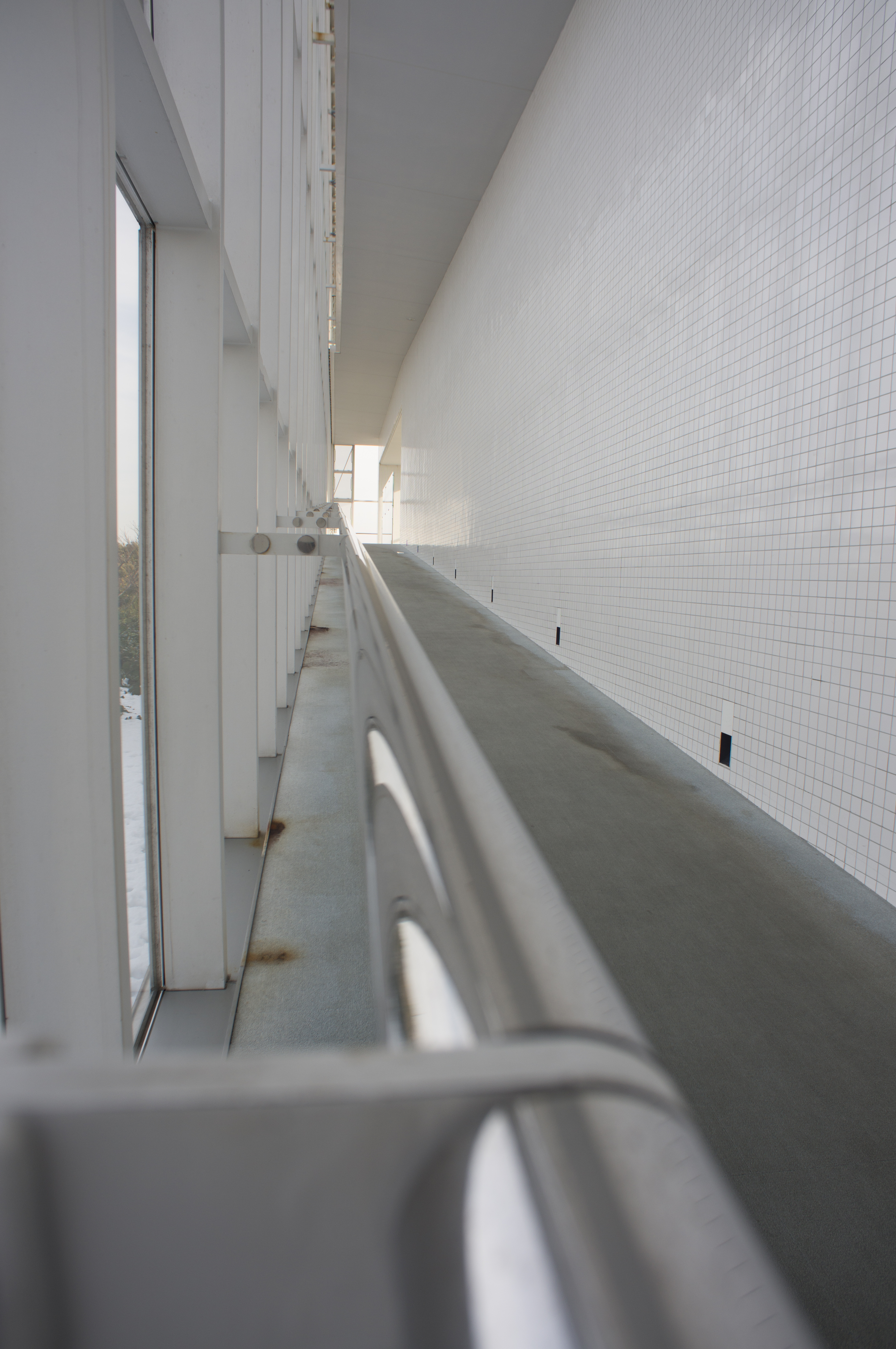 NEX-6 / MC Flektogon 20mm F2.8 / Speed Booster / 4,912×3,264 / 1/125秒 / F8 / +0.7EV / ISO100 / WB:オート / 20mm