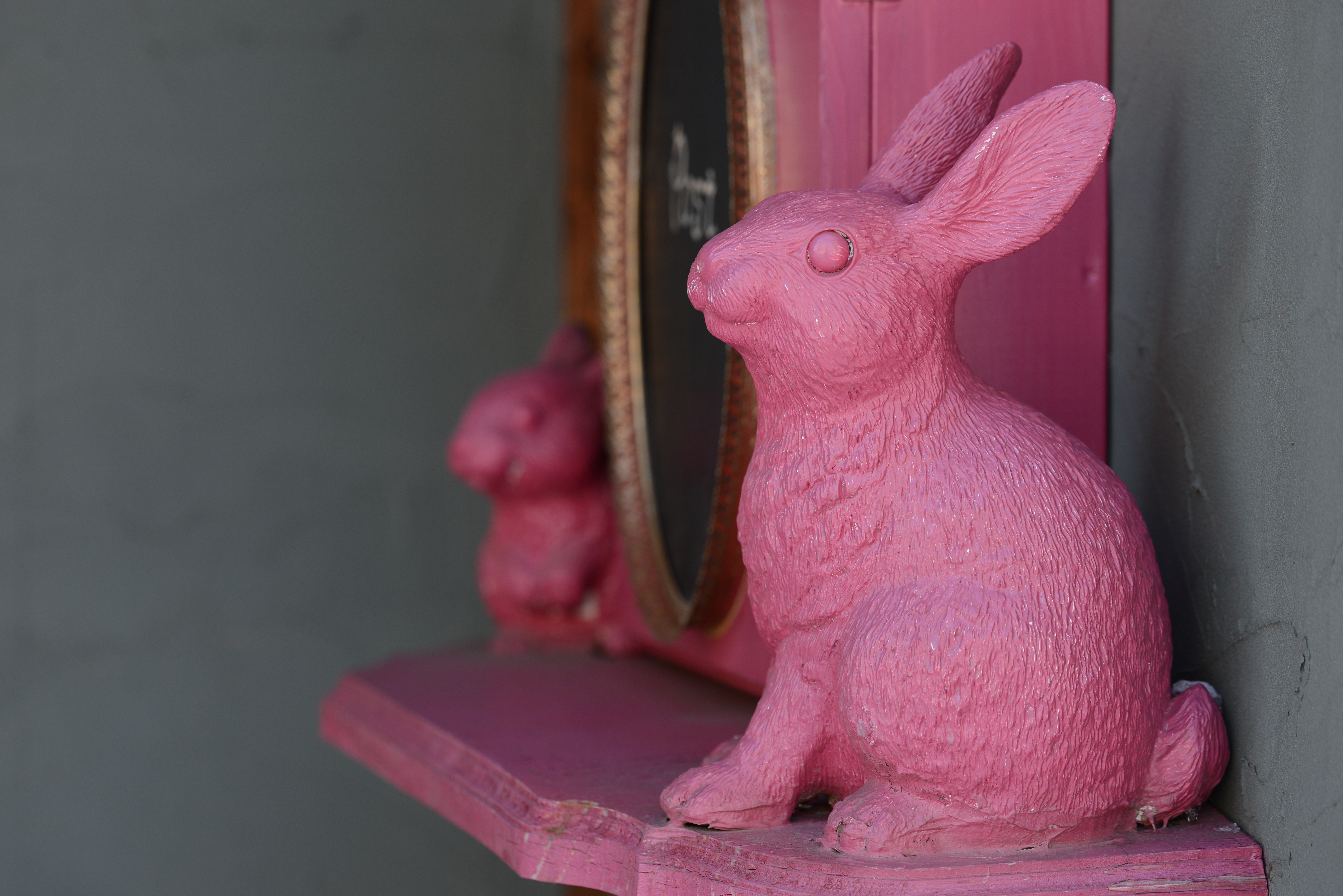 感度自動制御をオンにして、低速限界設定は手ブレを嫌って1段速めにセット。まあ、このぐらいの感度なら画質面での不安はない。D600 / APO Macro 150mm F2.8 EX DG OS HSM / 6,016×4,016 / 1/320秒 / F5 / -1EV / ISO500 / WB：オート2 / 150mm