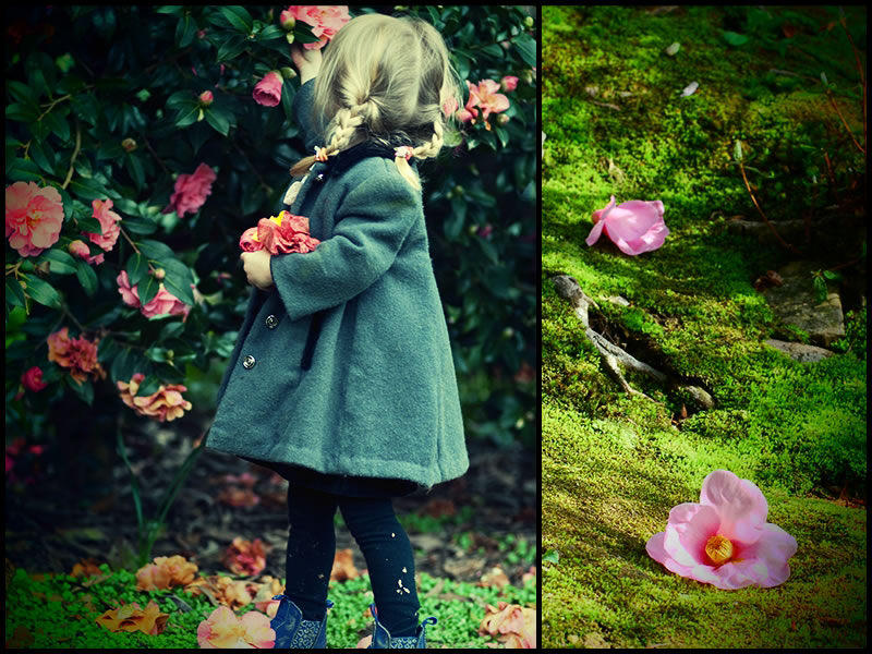 ズームイン/アウトの例