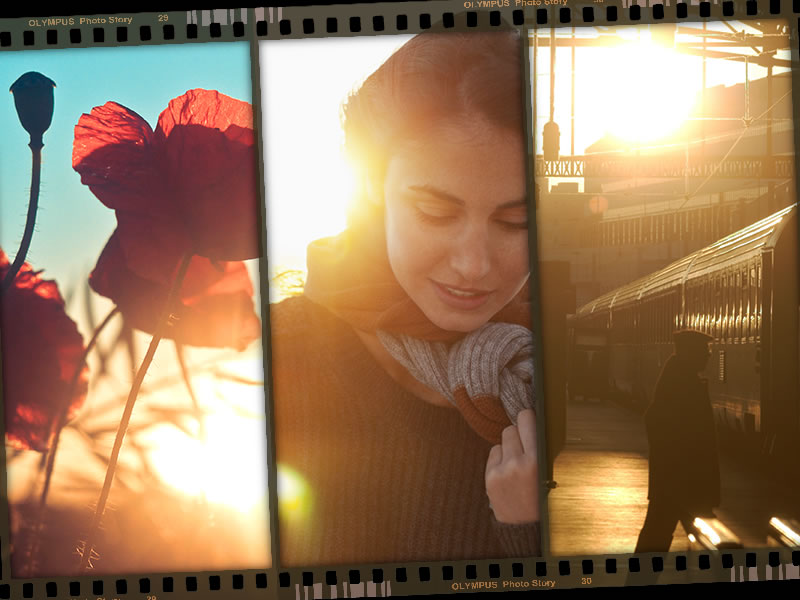 ファンフレームの例