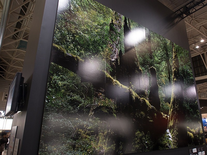 エプソンの協力でプリントされた4×3.5mの巨大写真も出展。D800Eの画像で、35mm判のデジタル一眼レフでも中判デジタルに匹敵する画質であることをアピール