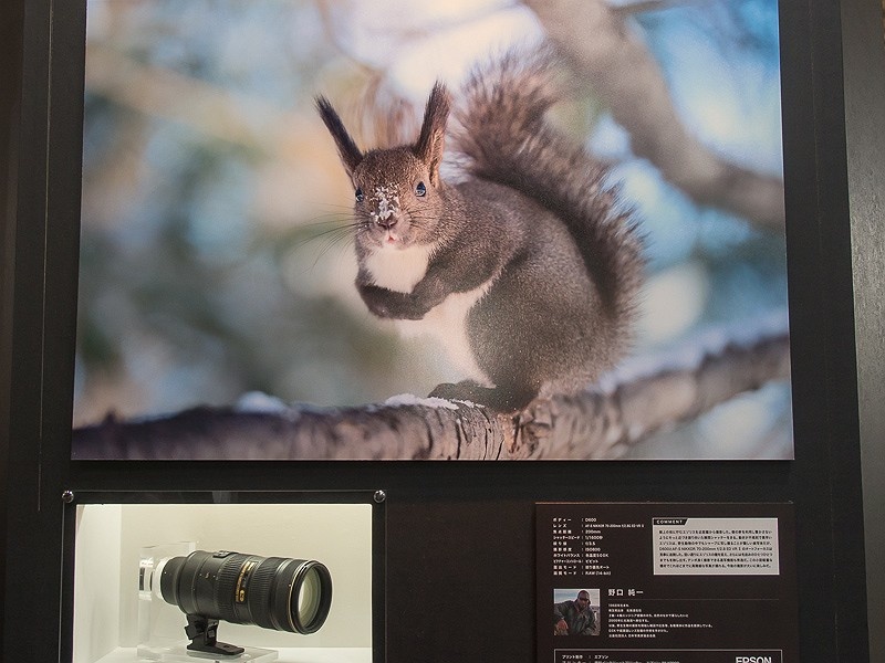 レンズごとの特徴が垣間見える作例も展示