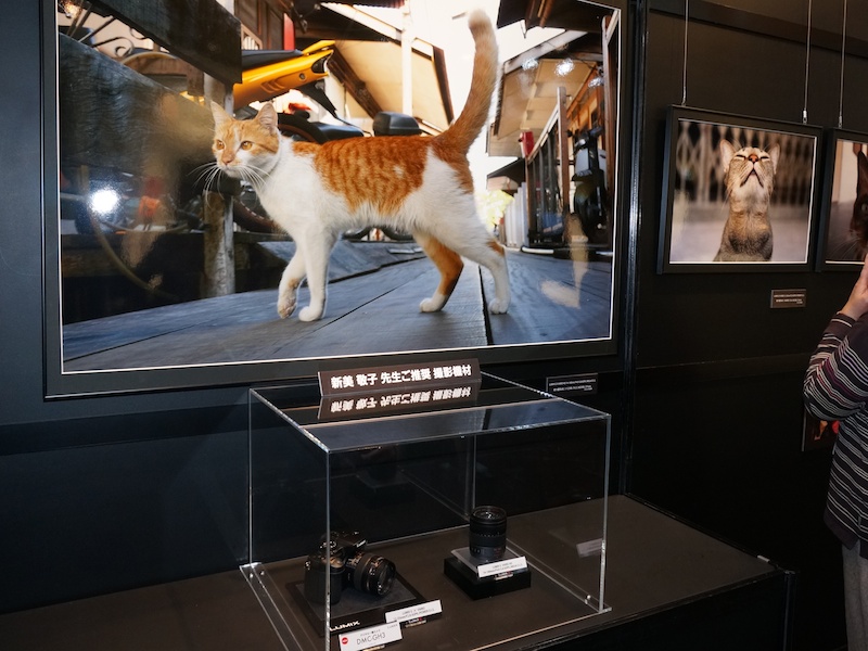 DMC-GH3で作品を寄せた写真家による撮影・推奨機材が注目されていた