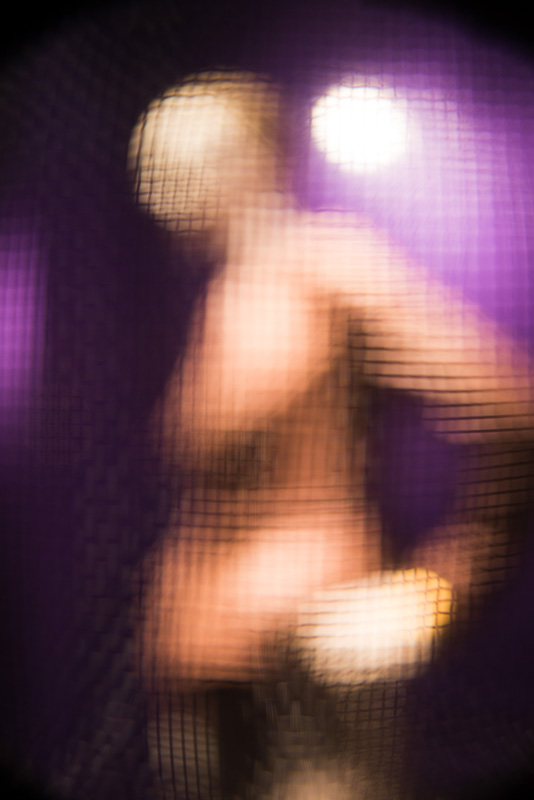 今回はこんな写真が撮れました。さて「目の荒い網」の正体は?