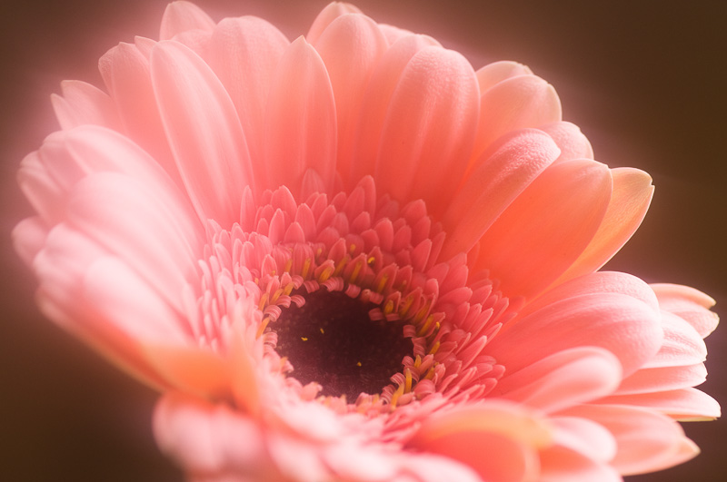 パンティーストッキングをかけた状態。わりときれいにソフト効果がかかってますね。