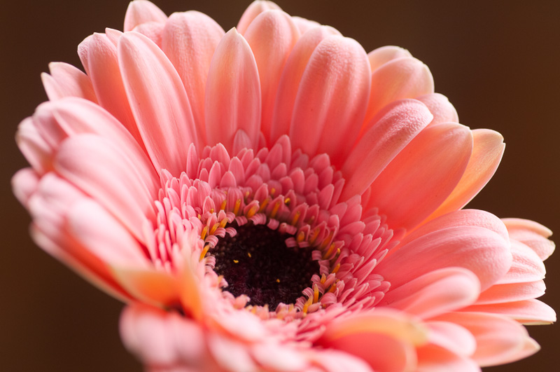 左の写真のパンストなし状態。比較してみると効果がよく分かる。