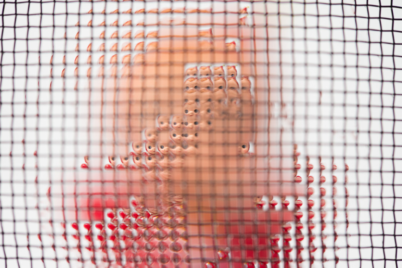 網目に水滴を付けて撮影。人形を撮影したのだが、網目のひとつひとつに人形が写ってるぞ! これは水玉写真の新たなバリエーションだ。