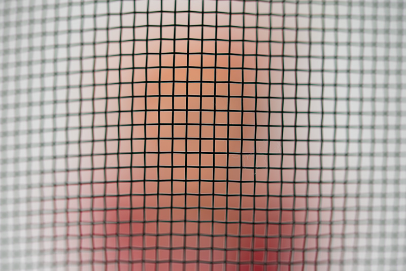 網目にピントを合わせるとこんな感じ。網が曲面になっているため、周囲はピントが合っていない。