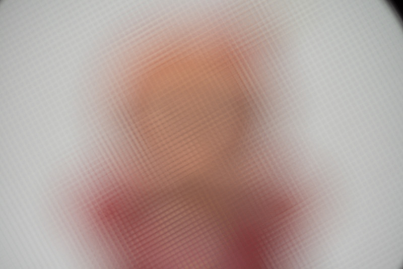 網目とボケがミックスするようにフォーカスを調整。これだとちょっと細か過ぎるかな。網目のサイズも重要。