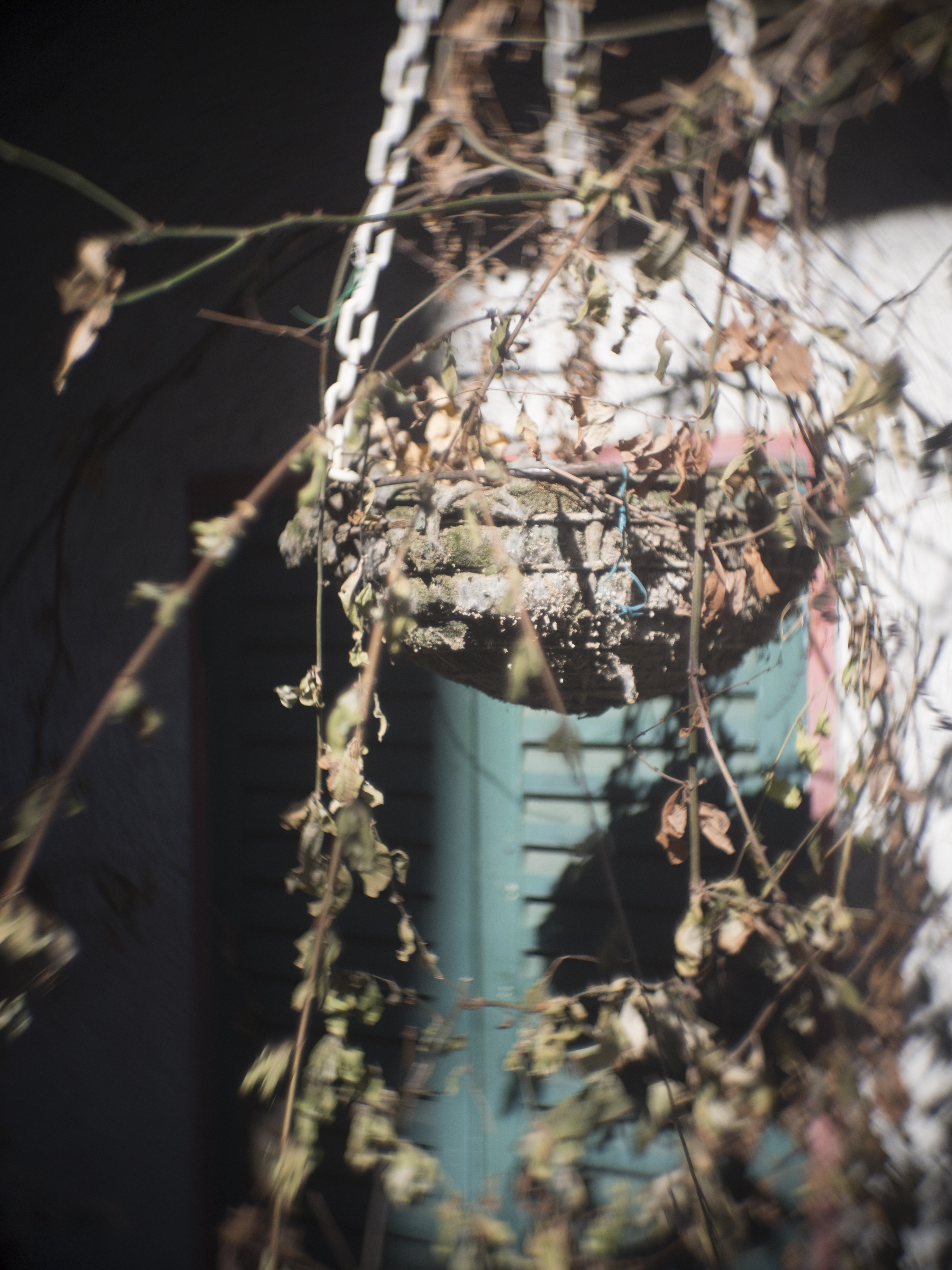 E-PL5 / Cooke Kinic 25mm F1.5 / 4,608×3,456 / 1/4,000秒 / F1.5 / 0EV / ISO200 / WB:オート / 25mm