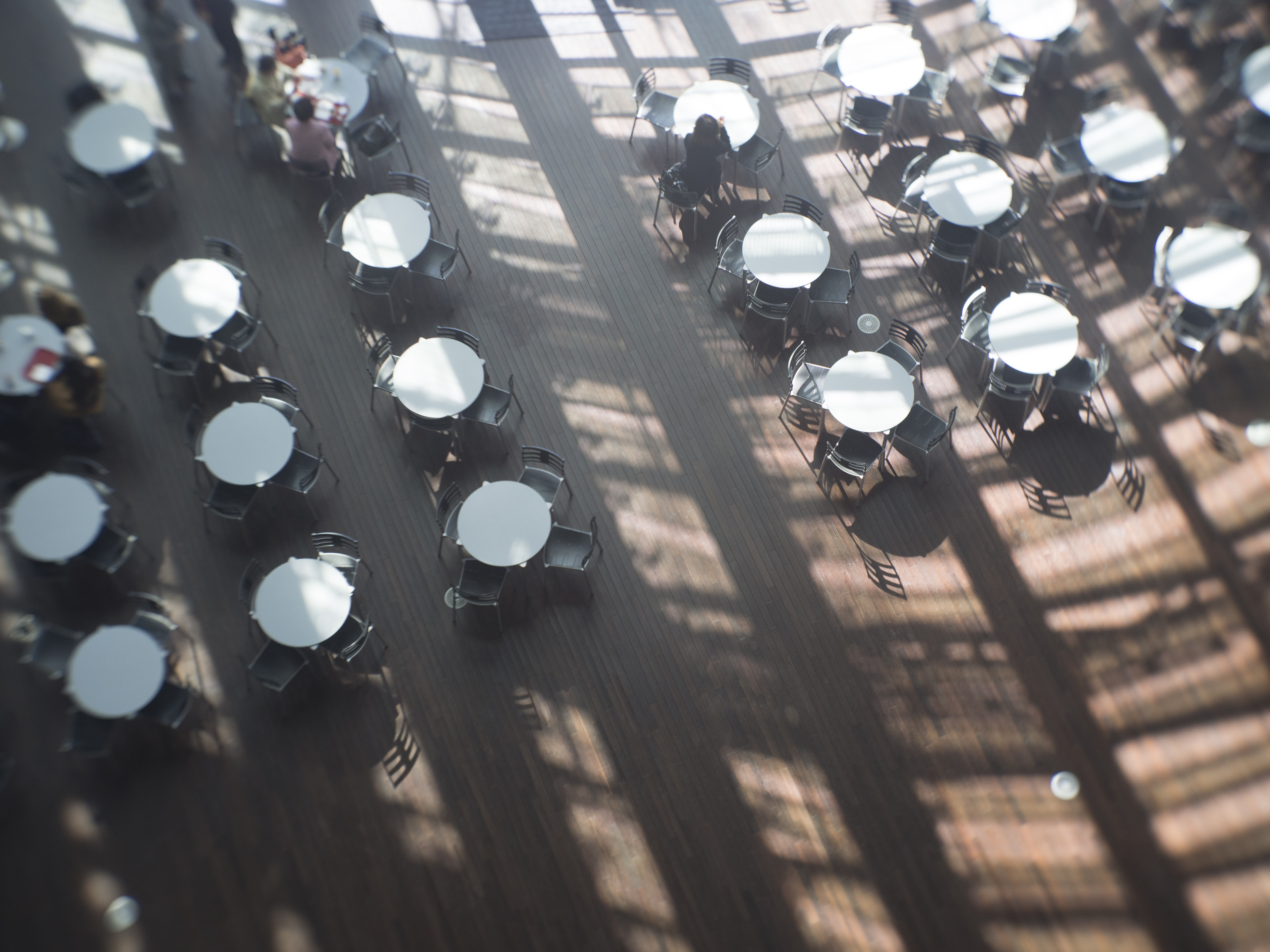 E-PL5 / Cooke Kinic 25mm F1.5 / 4,608×3,456 / 1/100秒 / F4 / 0EV / ISO250 / WB:オート / 25mm