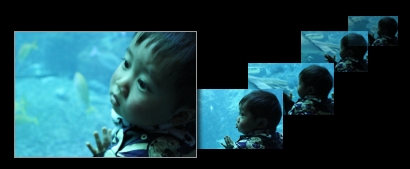 高速連写のイメージ