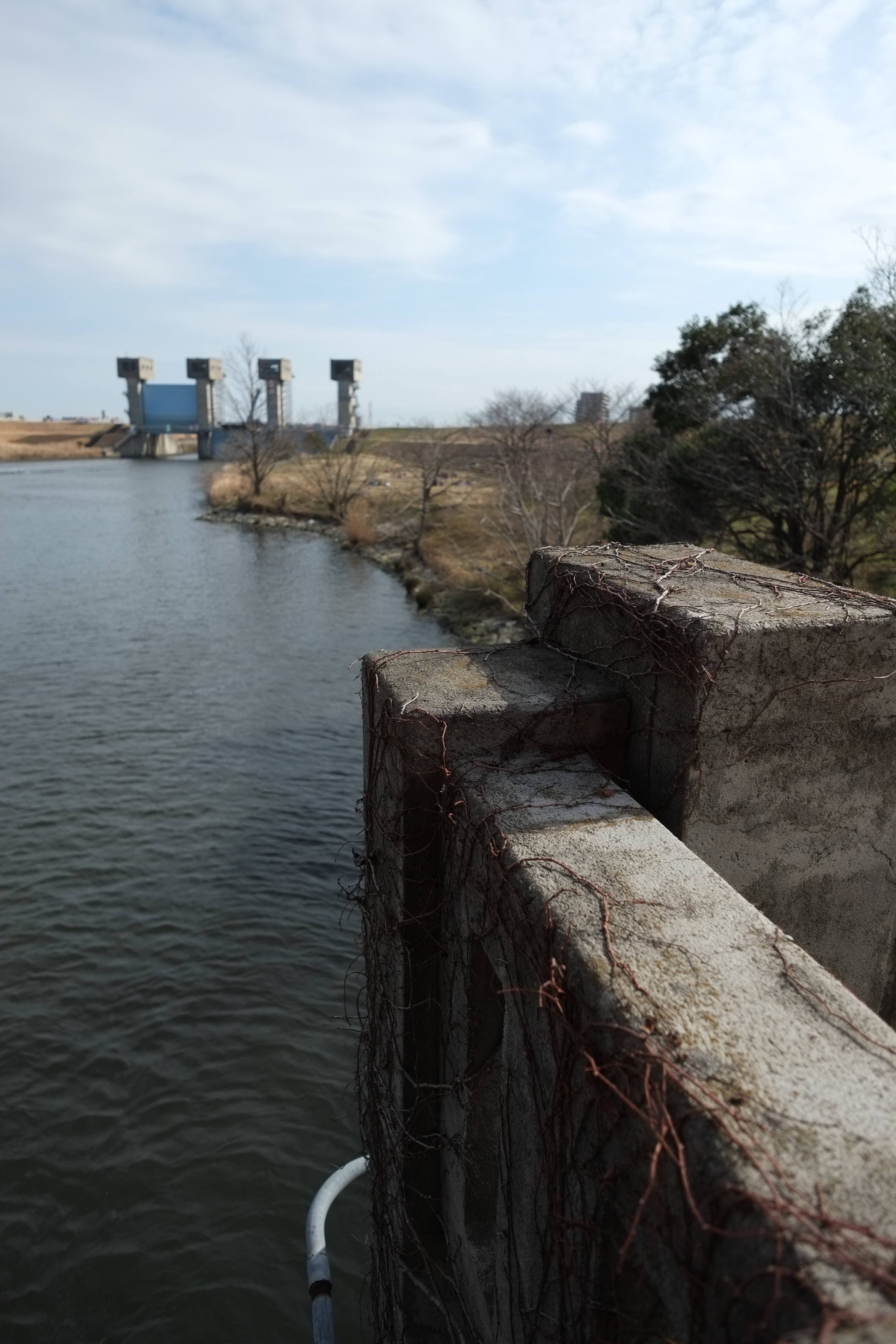 X-Pro1 / XF 14mm F2.8 R / 約4MB / 3,264×4,896 / 1/3,800秒 / F2.8 / -0.7EV / ISO200 / 絞り優先AE / WB：オート / 14mm