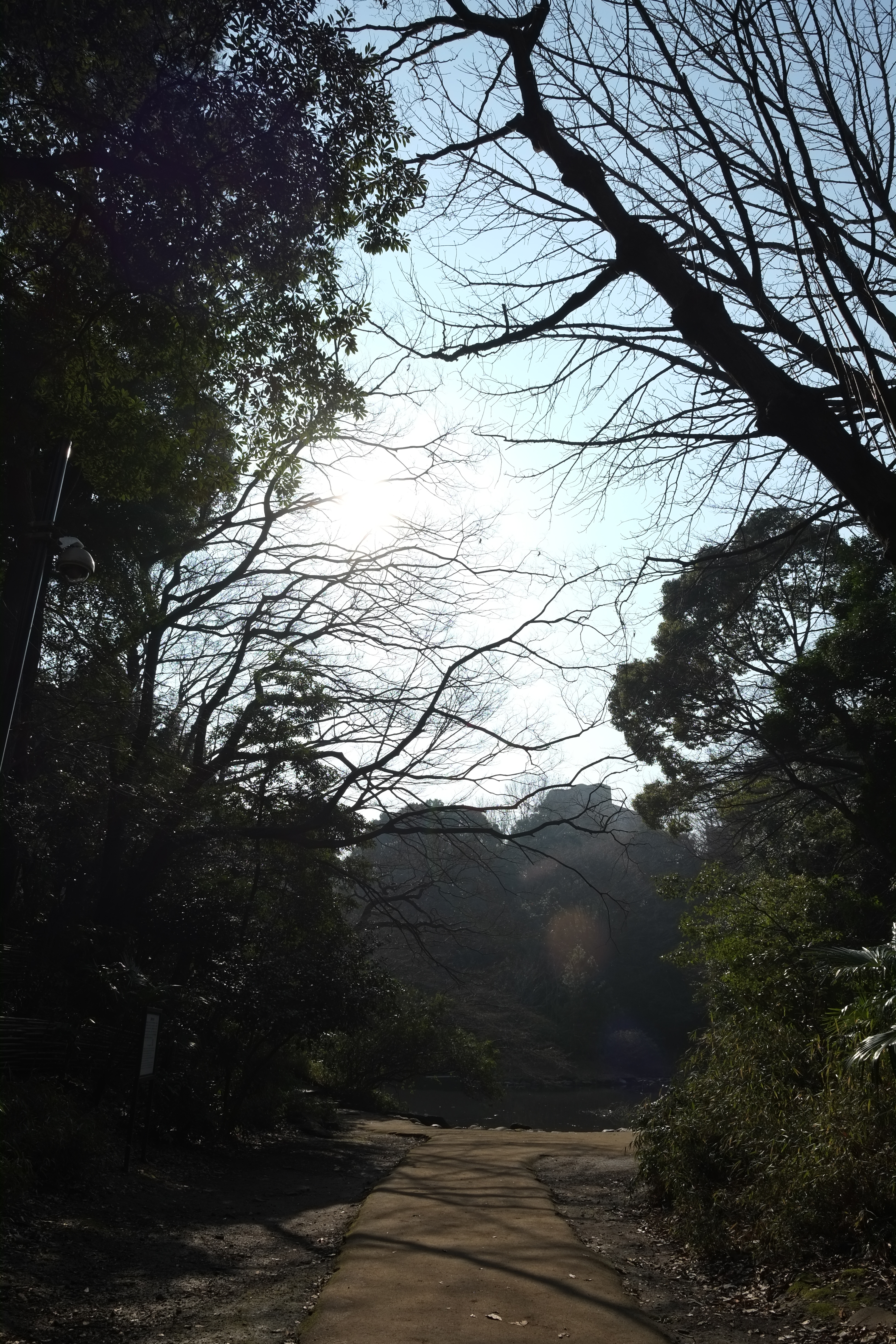 X-Pro1 / XF 14mm F2.8 R / 約6.8MB / 3,264×4,896 / 1/500秒 / F8 / 0EV / ISO200 / 絞り優先AE / WB：オート / 14mm