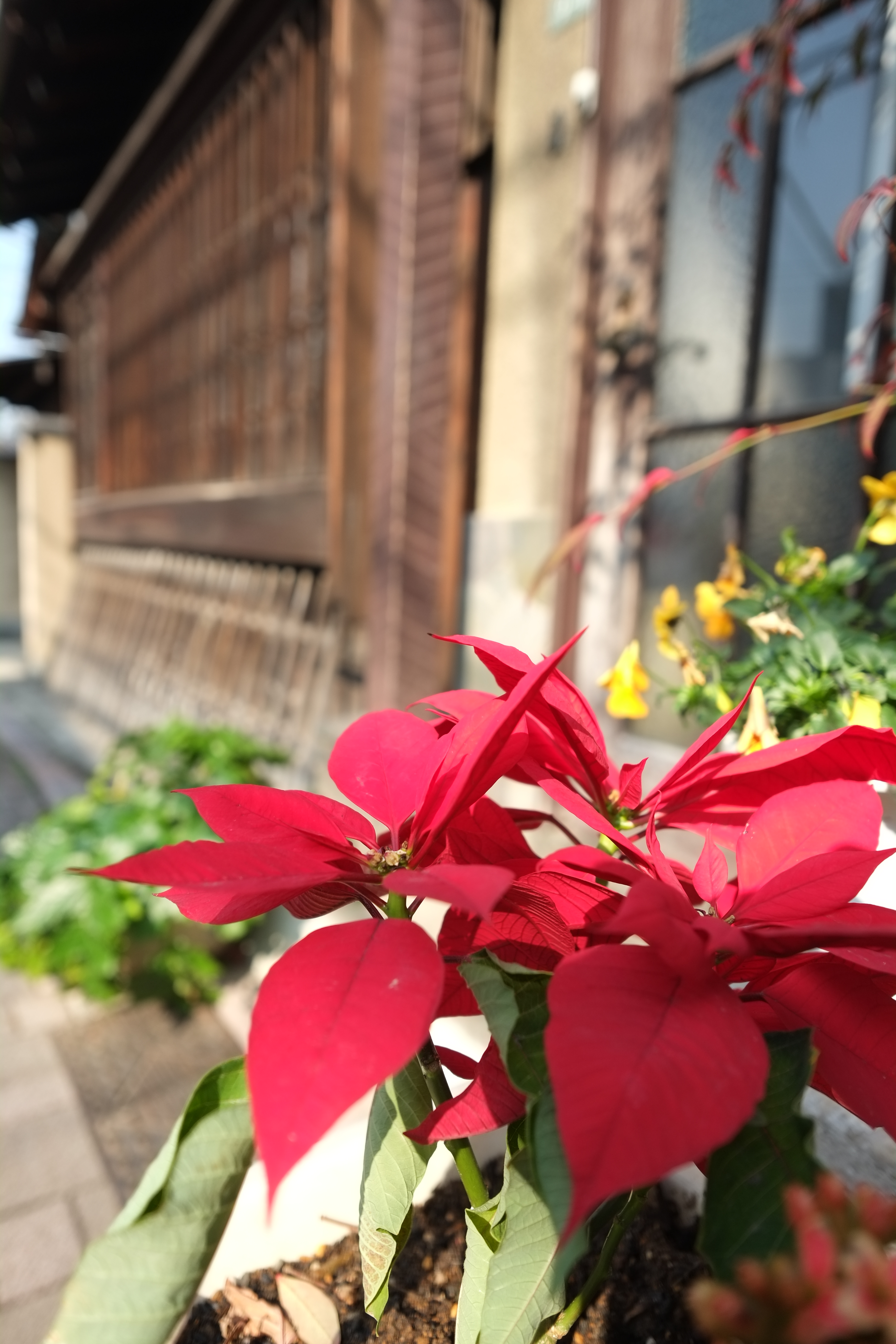 X-Pro1 / XF 14mm F2.8 R / 約3.6MB / 3,264×4,896 / 1/750秒 / F2.8 / 0EV / ISO200 / 絞り優先AE / WB：オート / 14mm