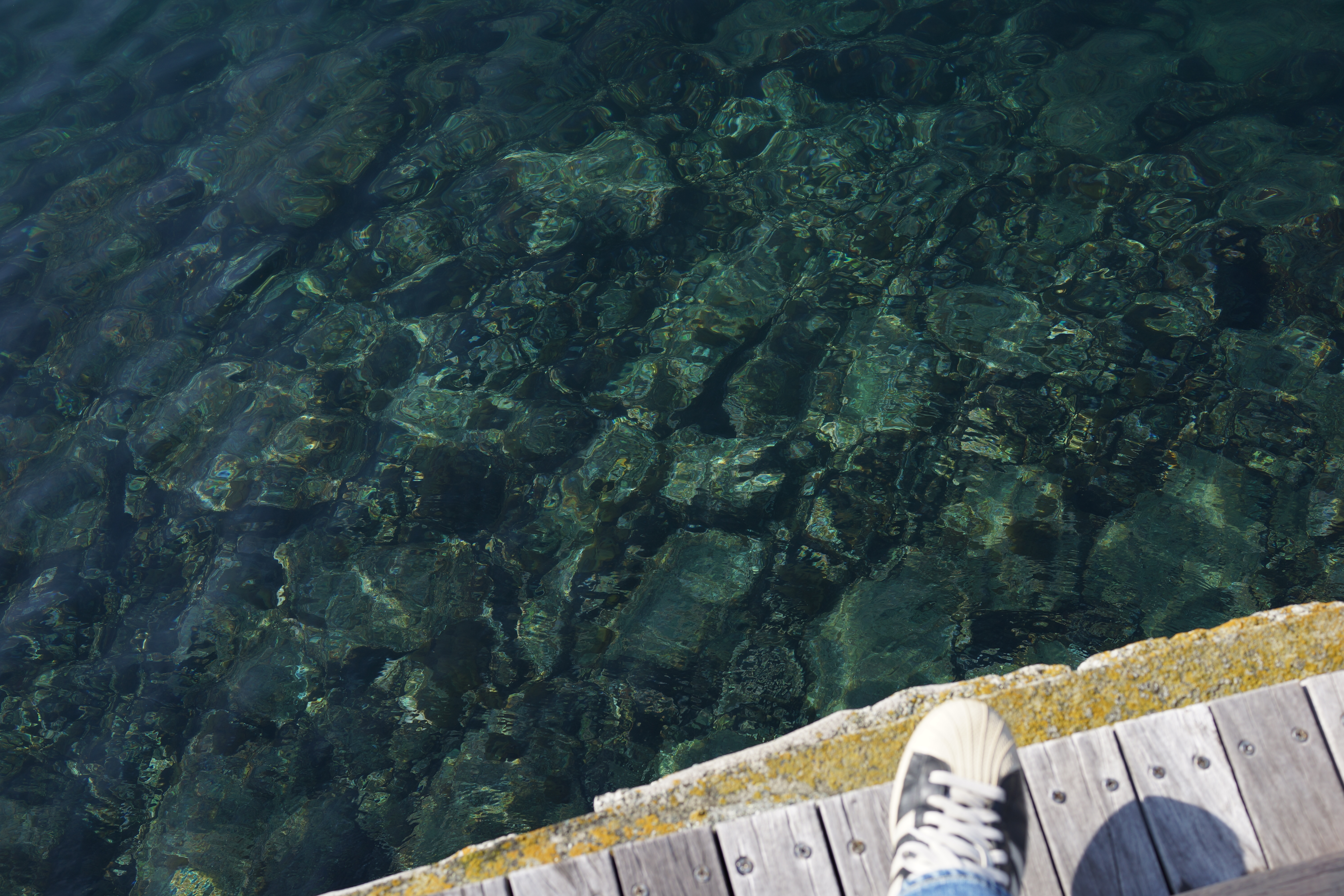 DSC-RX1 / 約7.5MB / 6,000×4,000 / 1/250秒 / F5.6 / -0.7EV / ISO100 / 絞り優先AE / WB：オート / 35mm