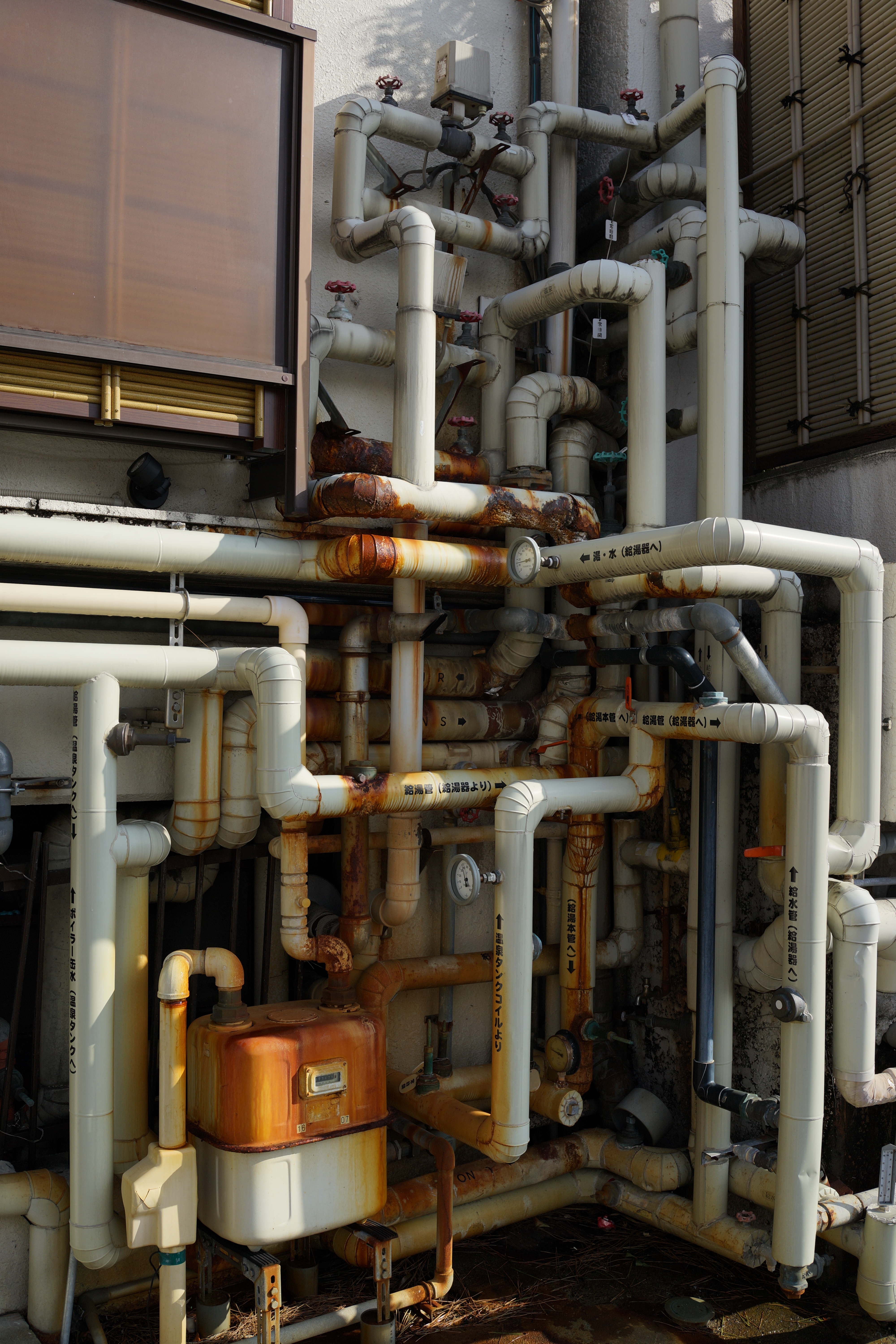 DSC-RX1 / 約7.1MB / 4,000×6,000 / 1/800秒 / F5.6 / -1EV / ISO100 / 絞り優先AE / WB：オート / 35mm