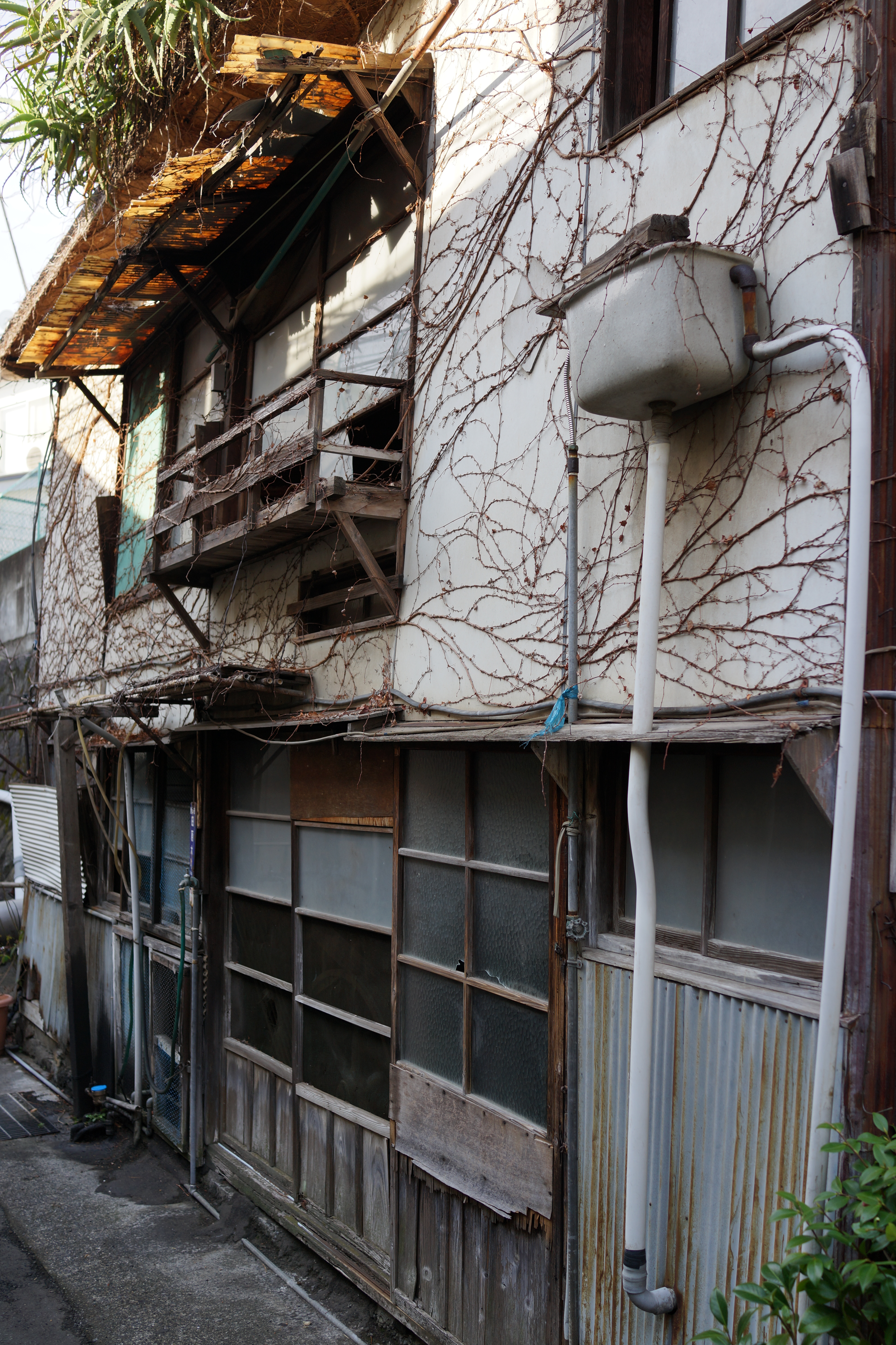 DSC-RX1 / 約8.6MB / 4,000×6,000 / 1/320秒 / F3.5 / -0.7EV / ISO100 / 絞り優先AE / WB：オート / 35mm