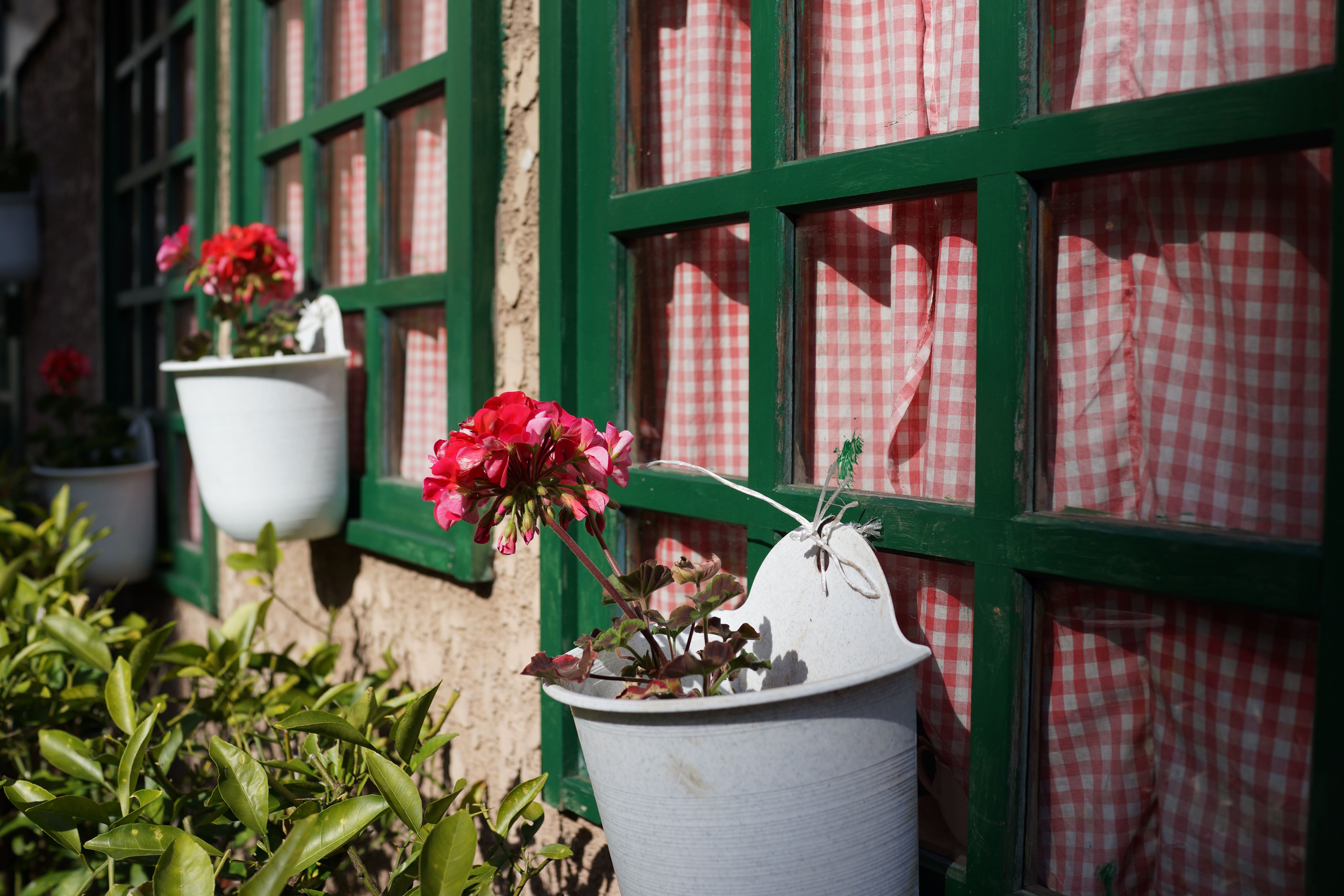 DSC-RX1 / 約5.7MB / 6,000×4,000 / 1/1,250秒 / F4 / +0.3EV / ISO100 / 絞り優先AE / WB：オート / 35mm