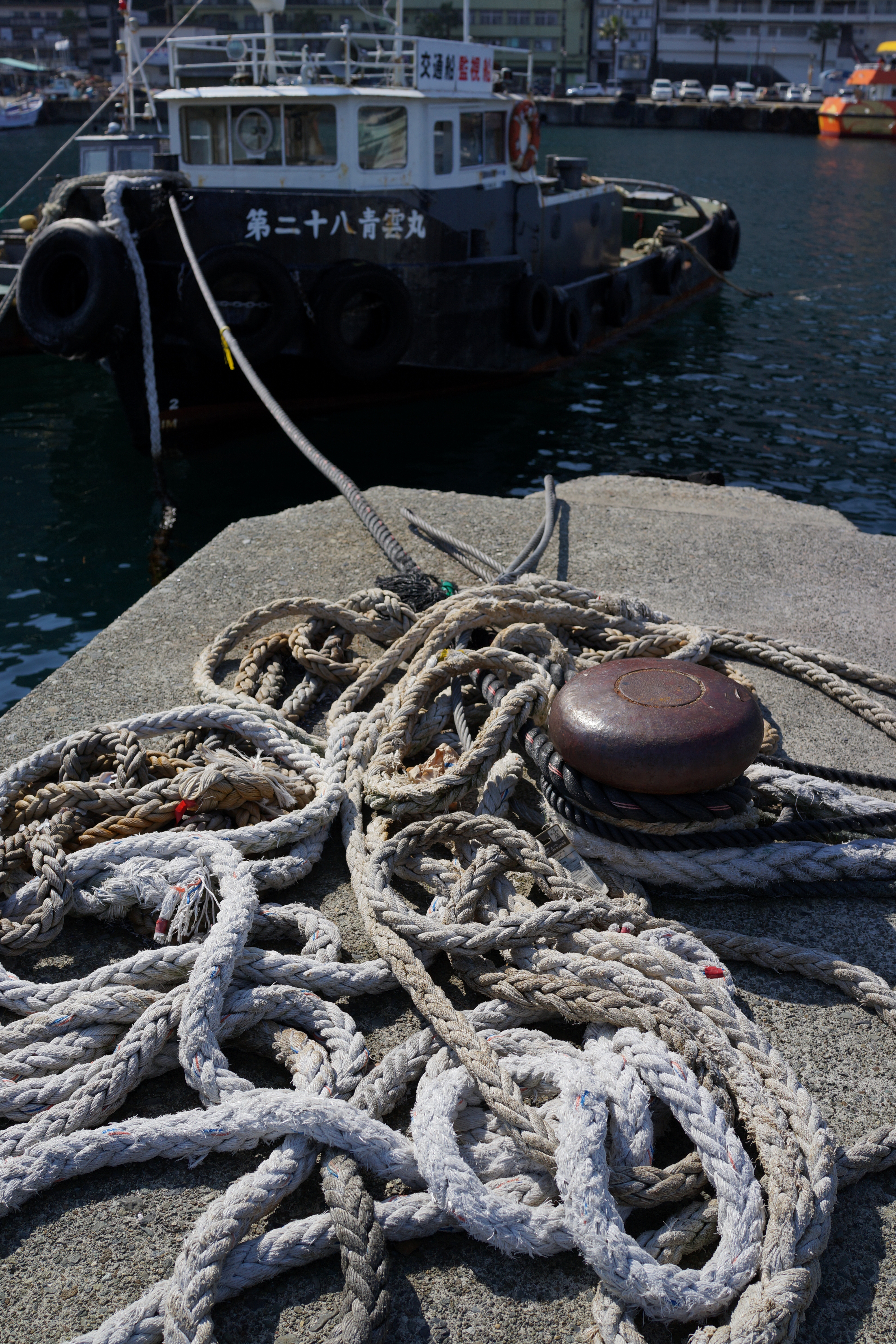 DSC-RX1 / 約9.4MB / 4,000×6,000 / 1/1,000秒 / F5.6 / -0.3EV / ISO100 / 絞り優先AE / WB：オート / 35mm