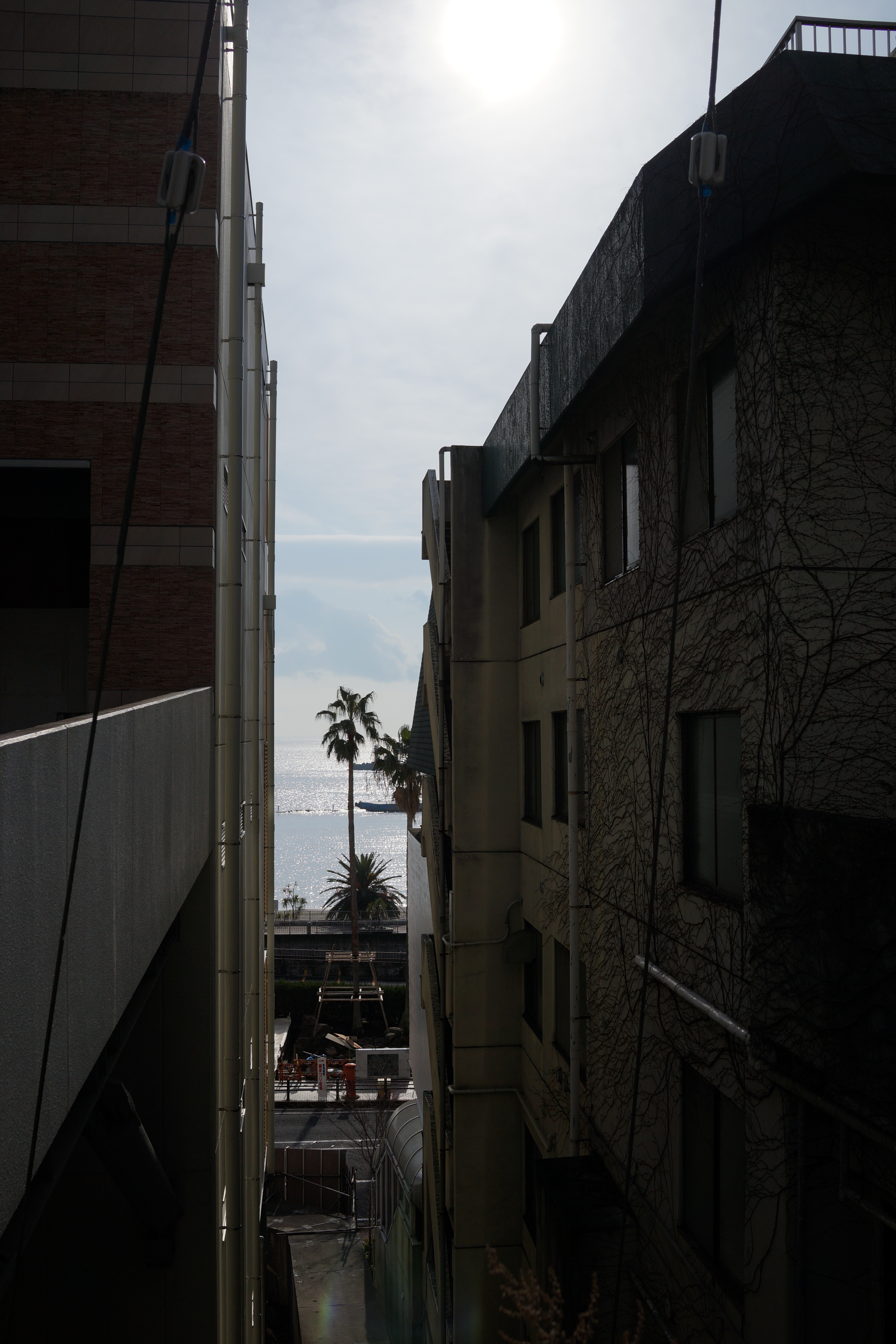 DSC-RX1 / 約6.3MB / 4,000×6,000 / 1/3,200秒 / F5.6 / -1.7EV / ISO100 / 絞り優先AE / WB：オート / 35mm