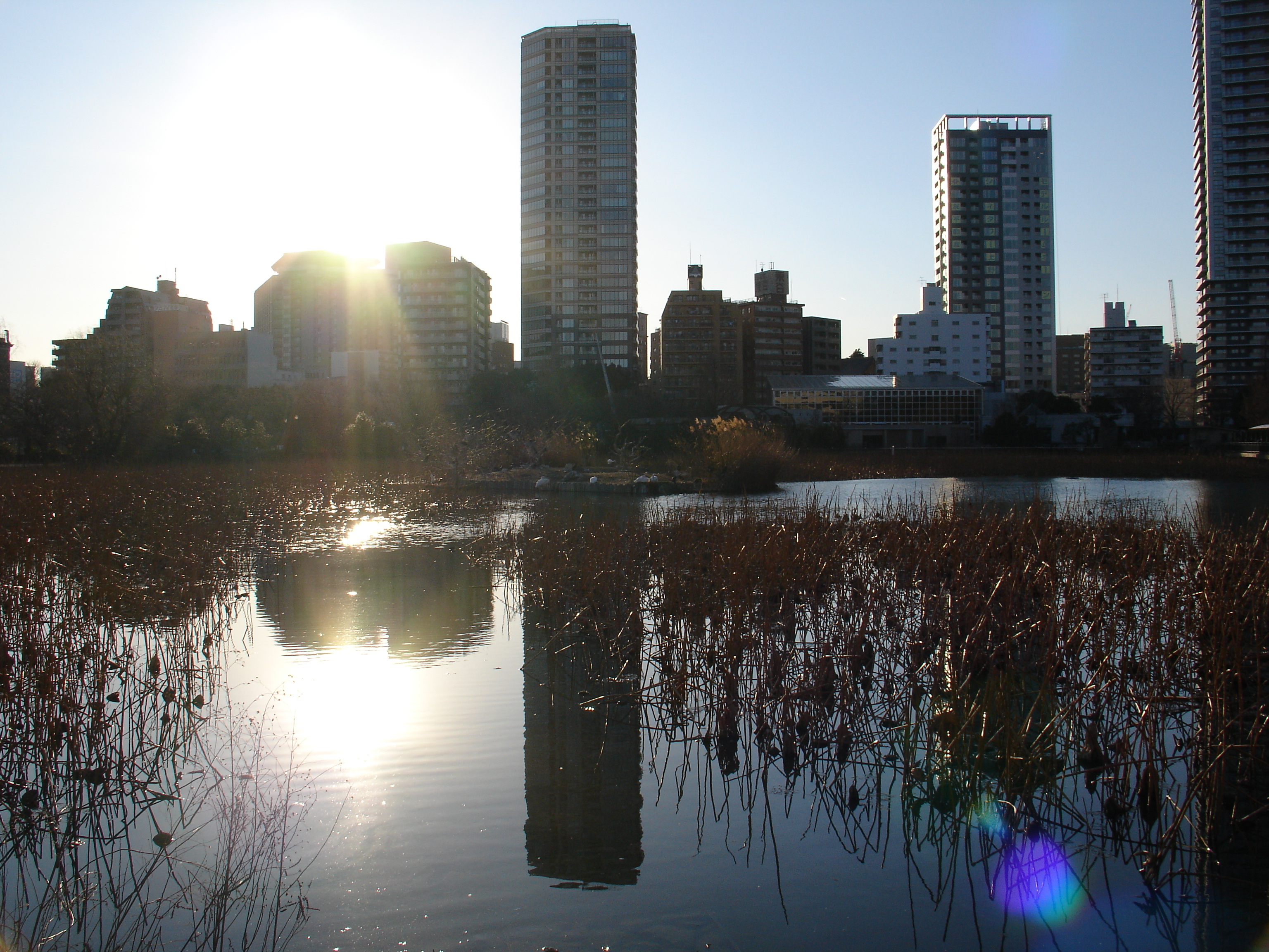 DSC-V3 / 約2.7MB / 3,072×2,304 / 1/500 / F5.6 / 0EV / ISO100 / 絞り優先AE / WB：太陽光 / 7mm