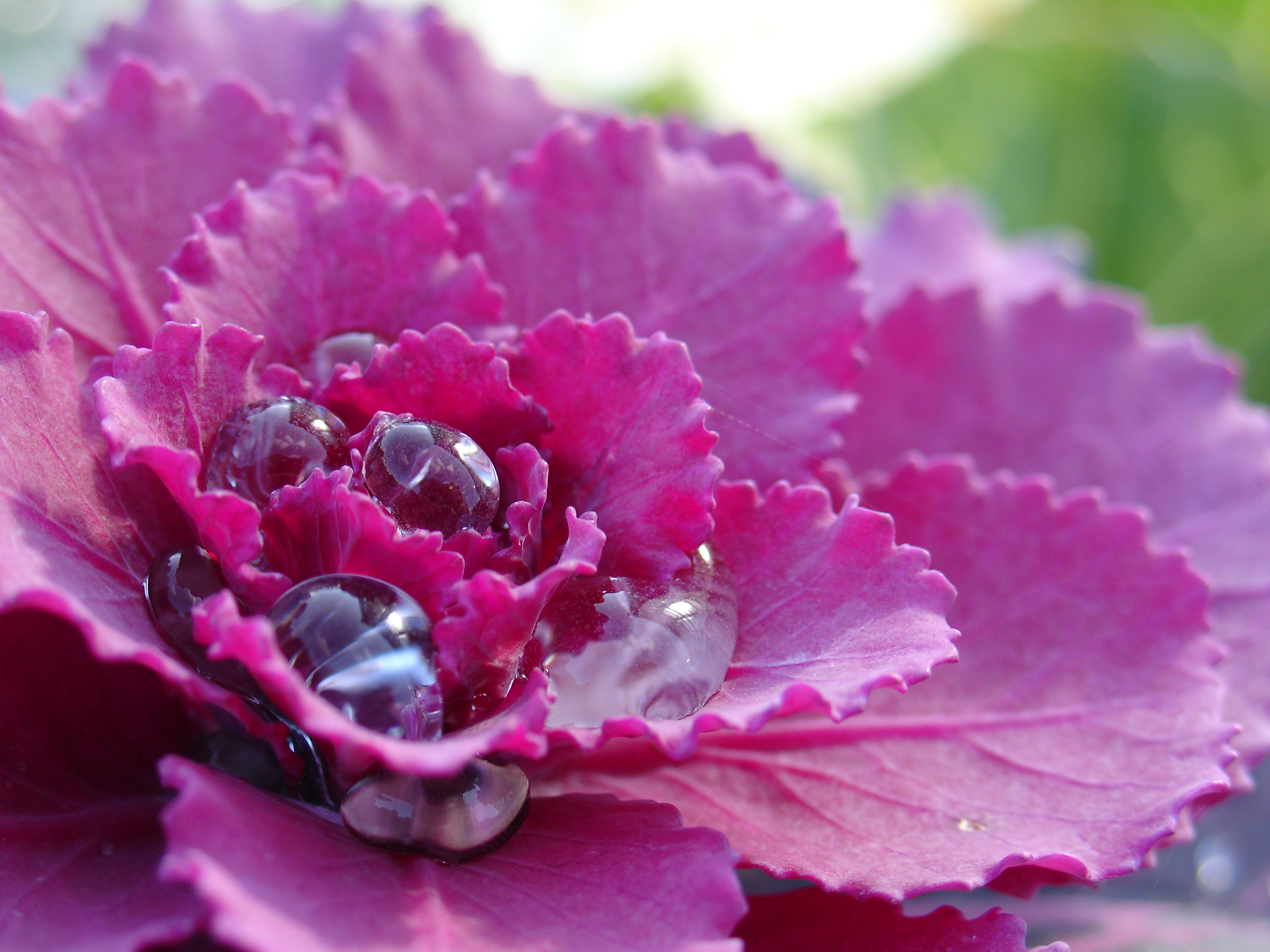 DSC-V3 / 約2.6MB / 3,072×2,304 / 1/100 / F3.5 / 0EV / ISO100 / 絞り優先AE / WB：太陽光 / 18.1mm