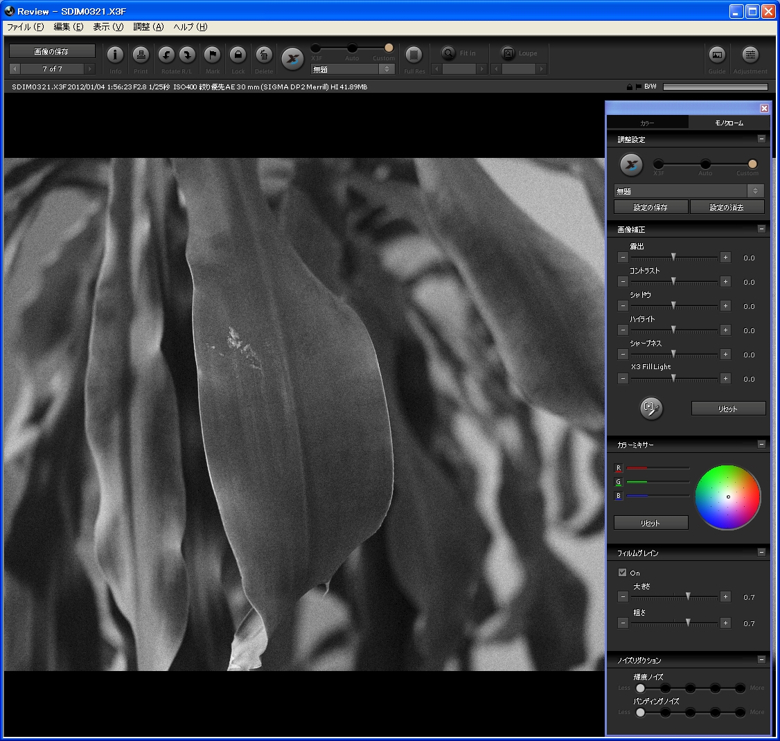 「モノクローム」タブで「フィルムグレイン」を追加したところ
