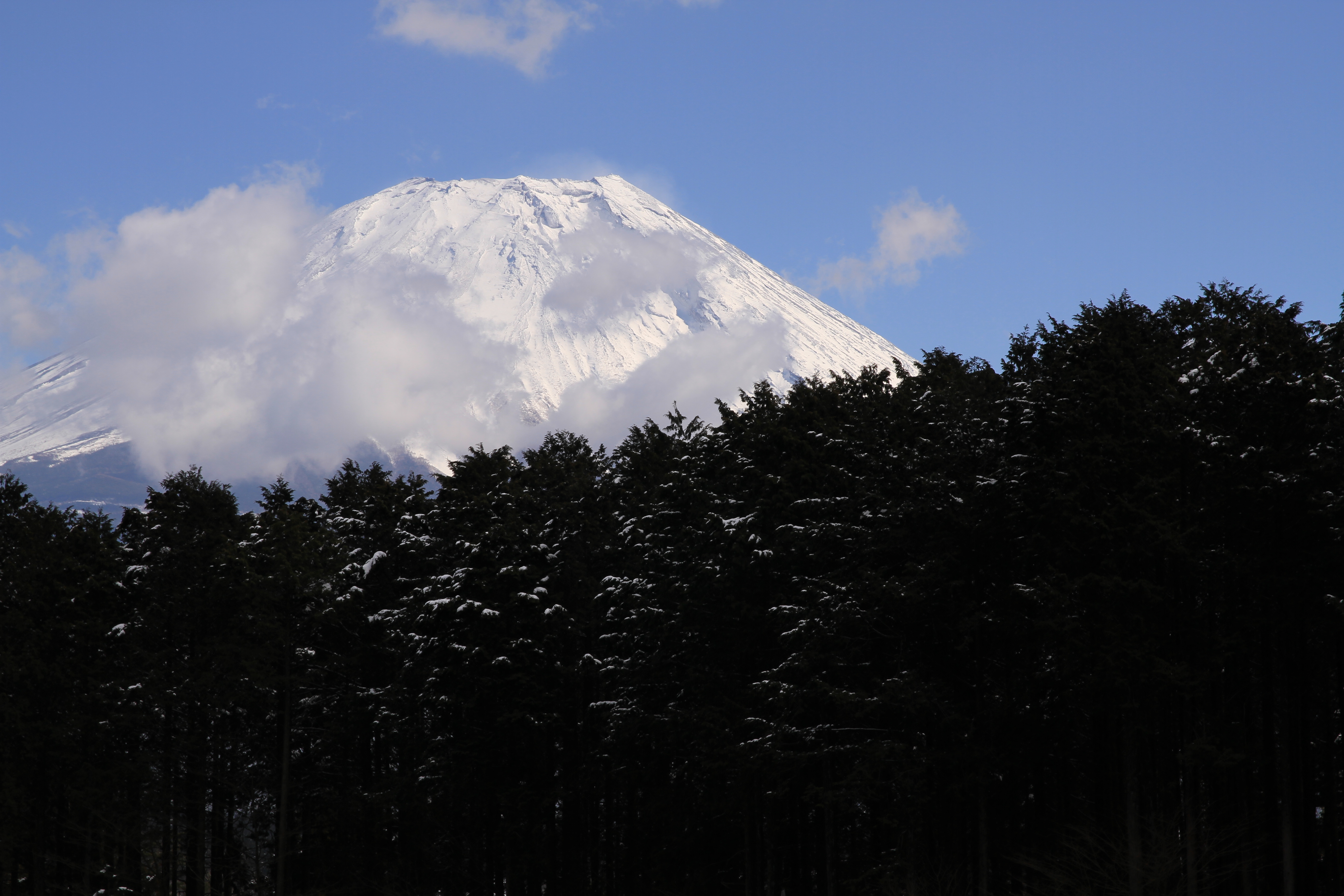 EOS 7D / 17-70mm F2.8-4 DC MACRO OS HSM / 約4.5MB / 5,184×3,456 / 1/400秒 / F8 / +0.3EV / ISO100 / 絞り優先AE / WB：太陽光 / 70mm